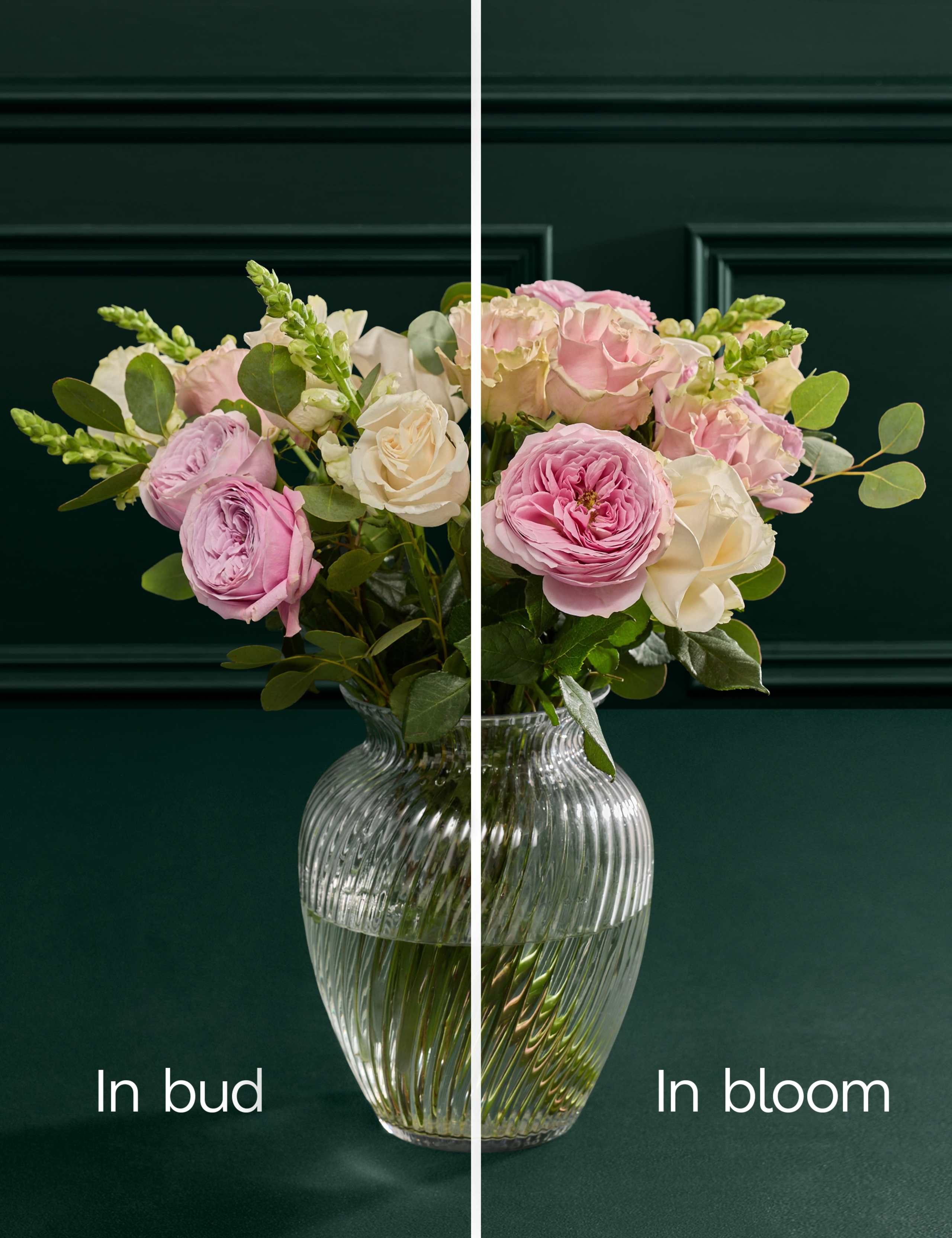 Peony Rose™ Bouquet 4 of 5