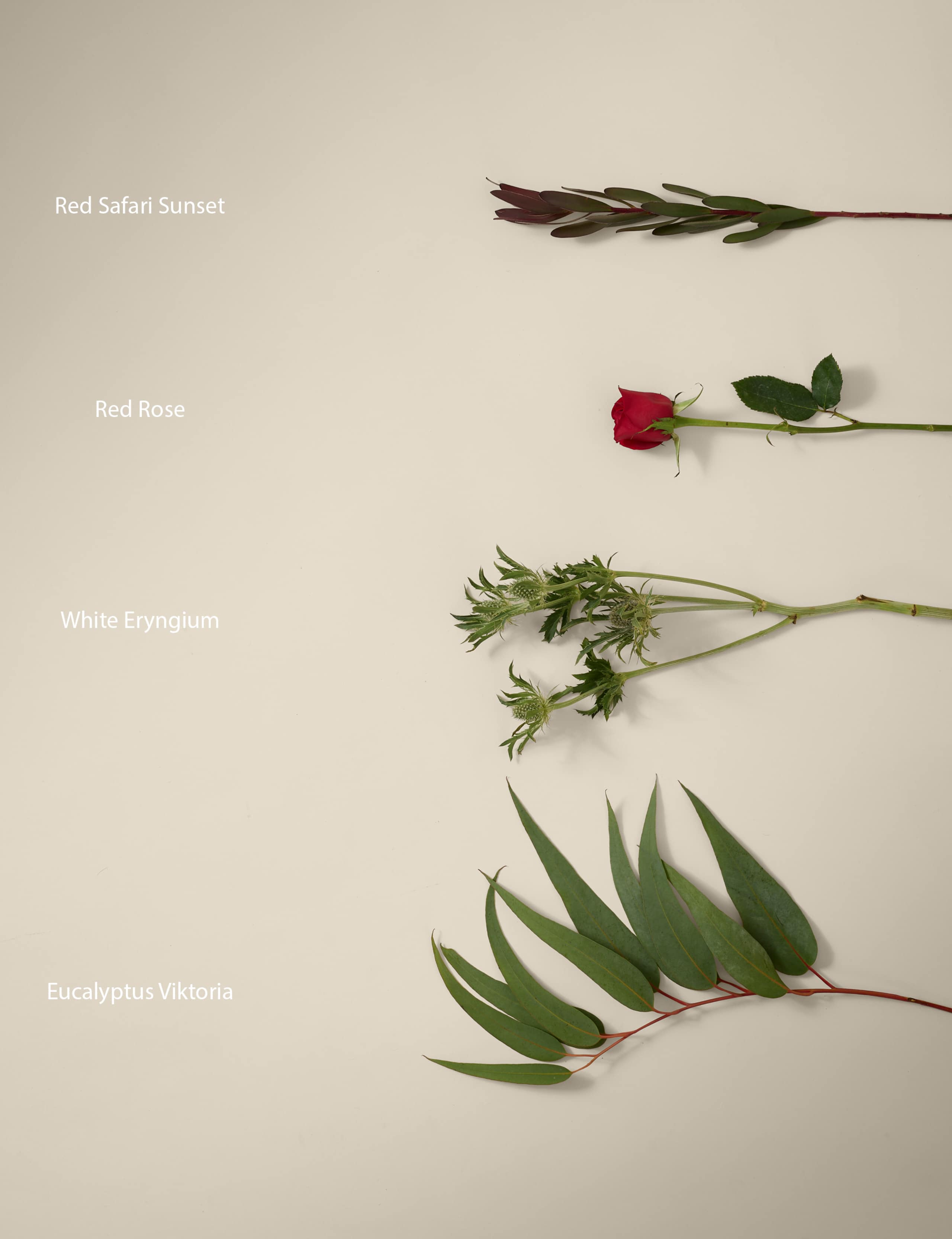 Kelly Hoppen Red Rose Christmas Bouquet 4 of 5