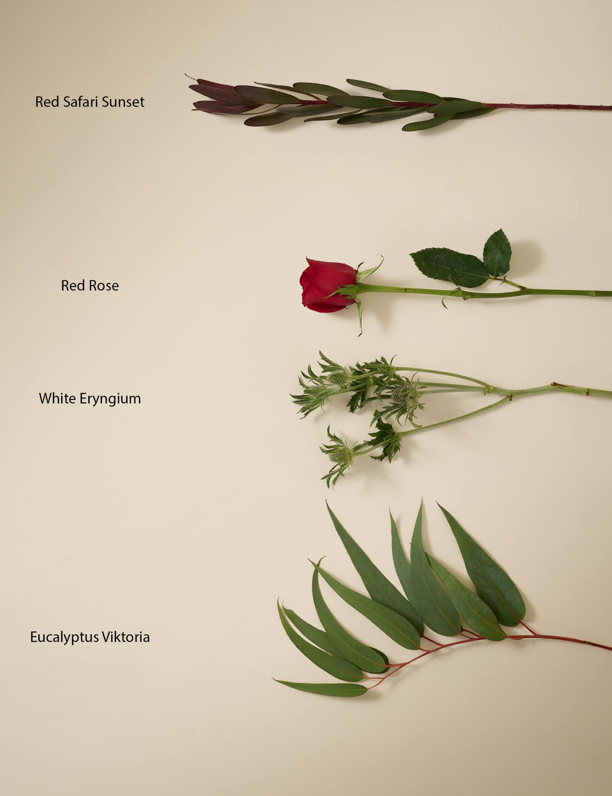 Kelly Hoppen Red Rose Christmas Bouquet with Candle 5 of 10