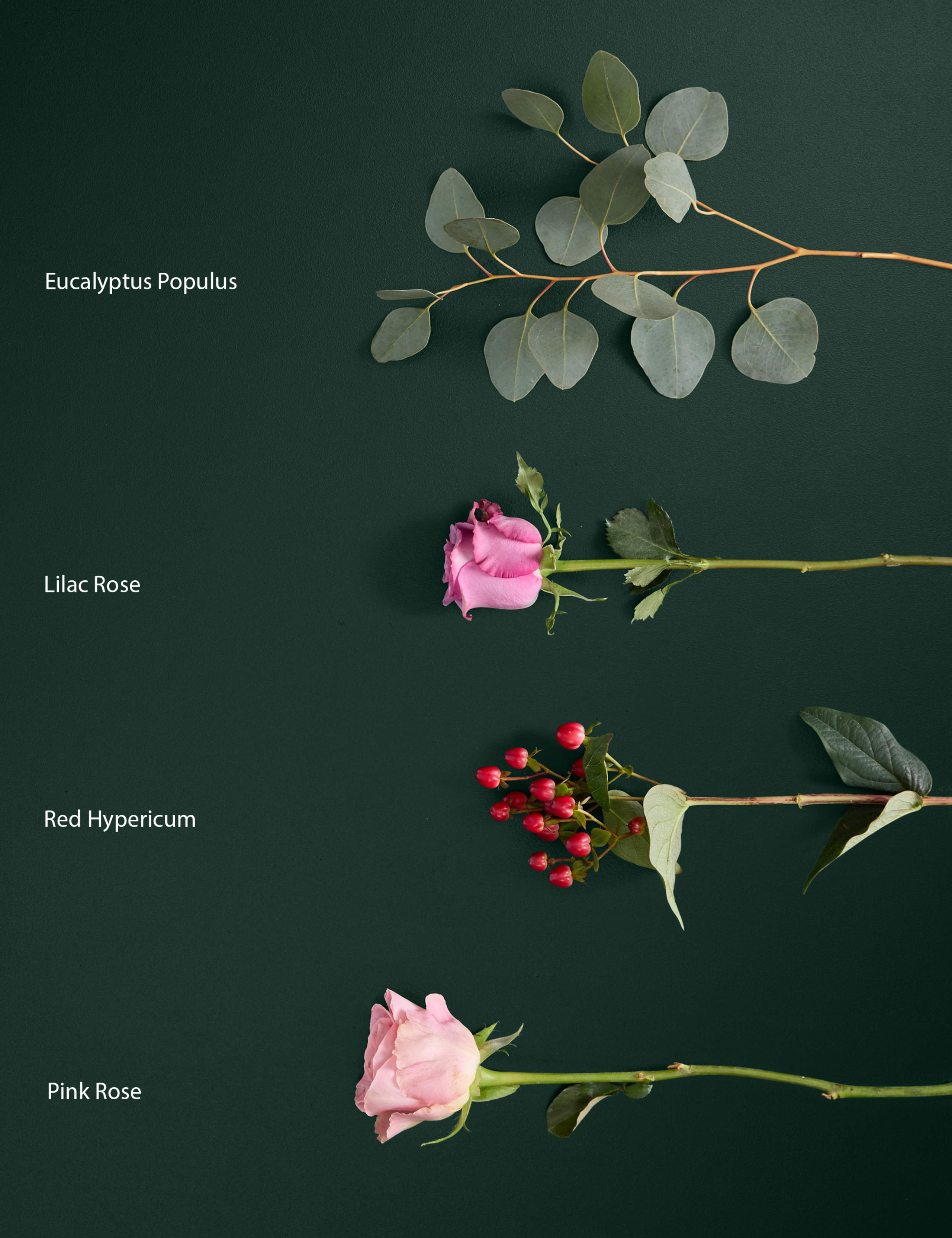 Rose & Hypericum Bouquet 4 of 5
