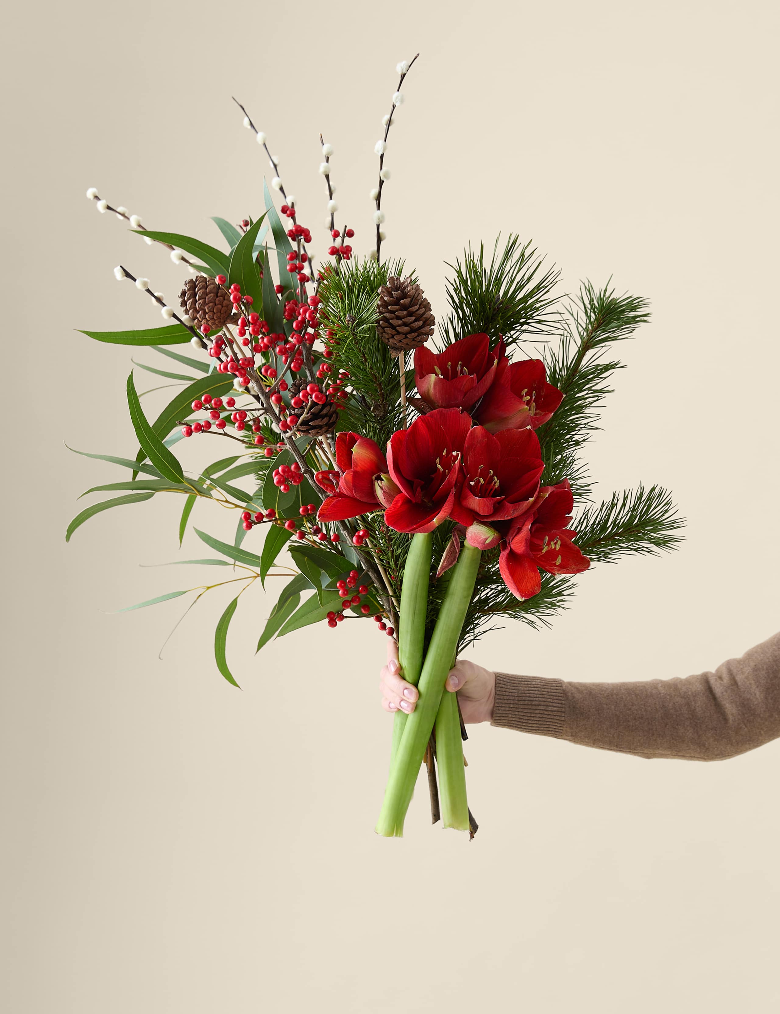 Festive Red Amaryllis Bouquet 1 of 7