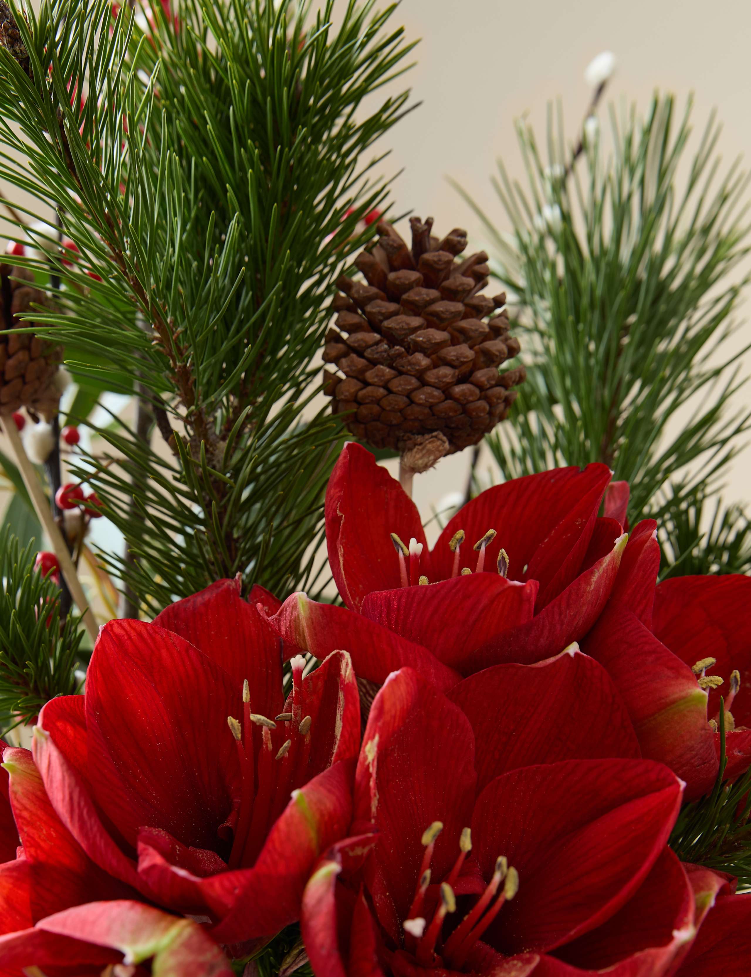 Festive Red Amaryllis Bouquet 3 of 7