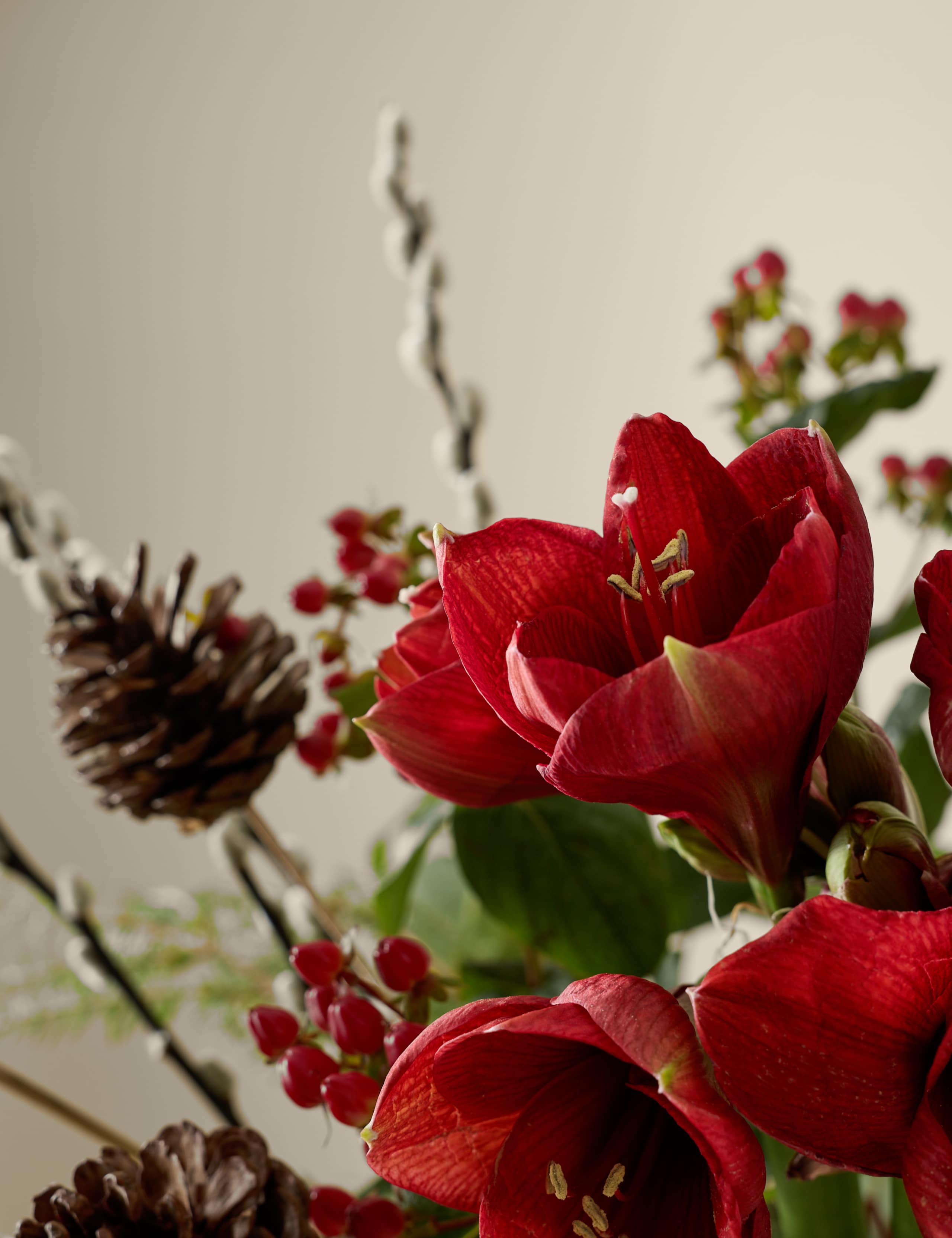 Kelly Hoppen Red Amaryllis Christmas Bouquet 3 of 5