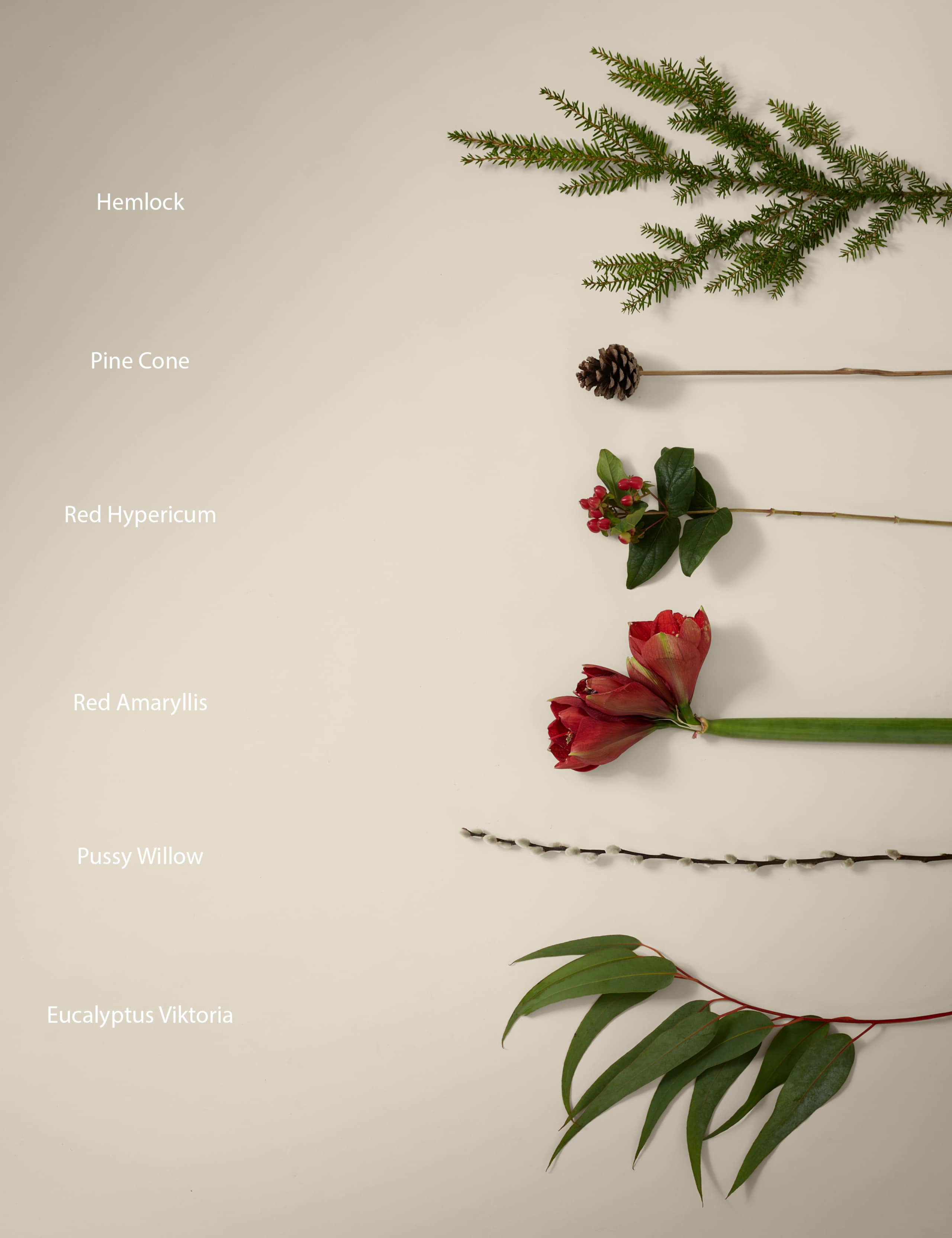 Kelly Hoppen Red Amaryllis Christmas Bouquet 4 of 5