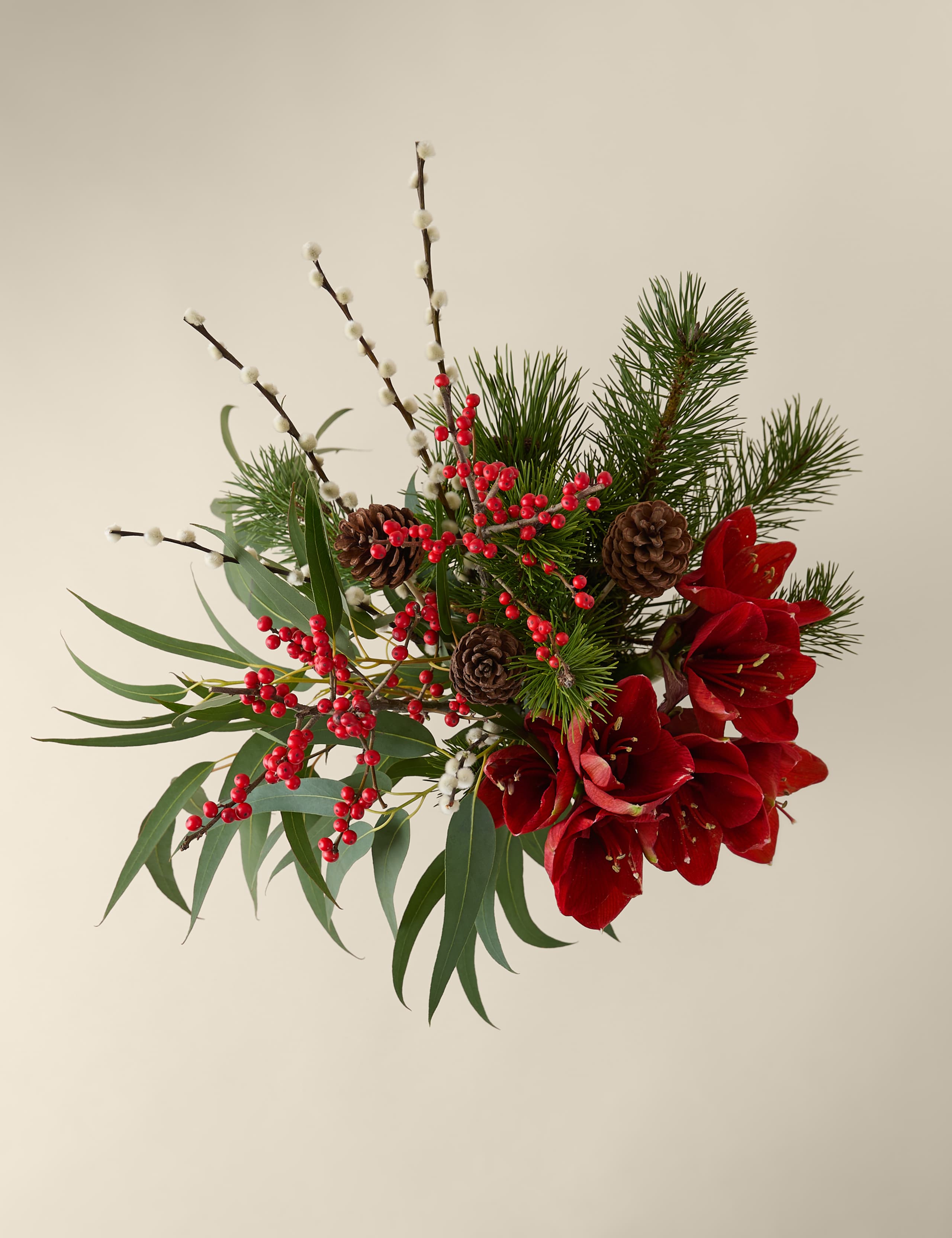 Festive Red Amaryllis Bouquet 2 of 7
