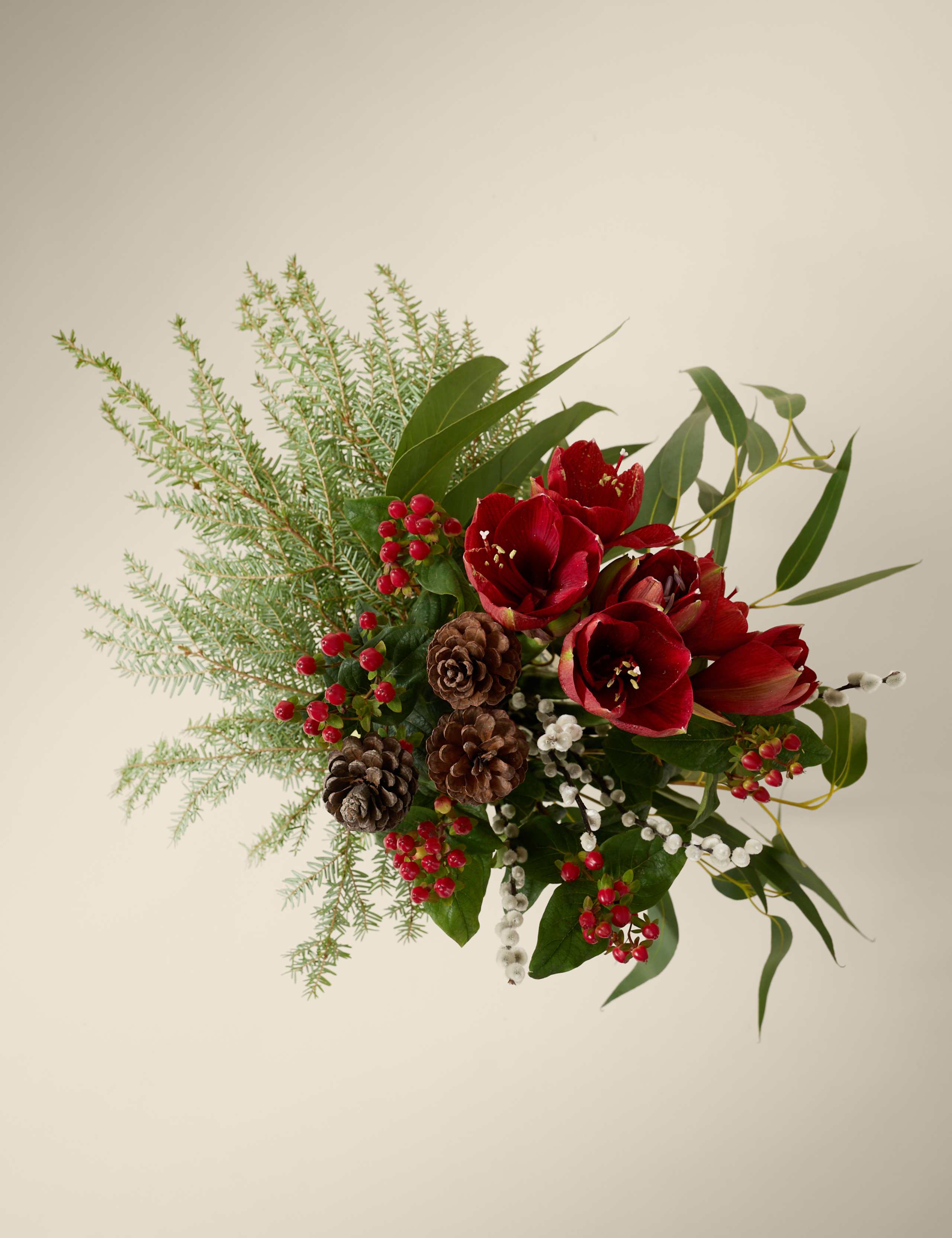 Kelly Hoppen Red Amaryllis Christmas Bouquet 2 of 5