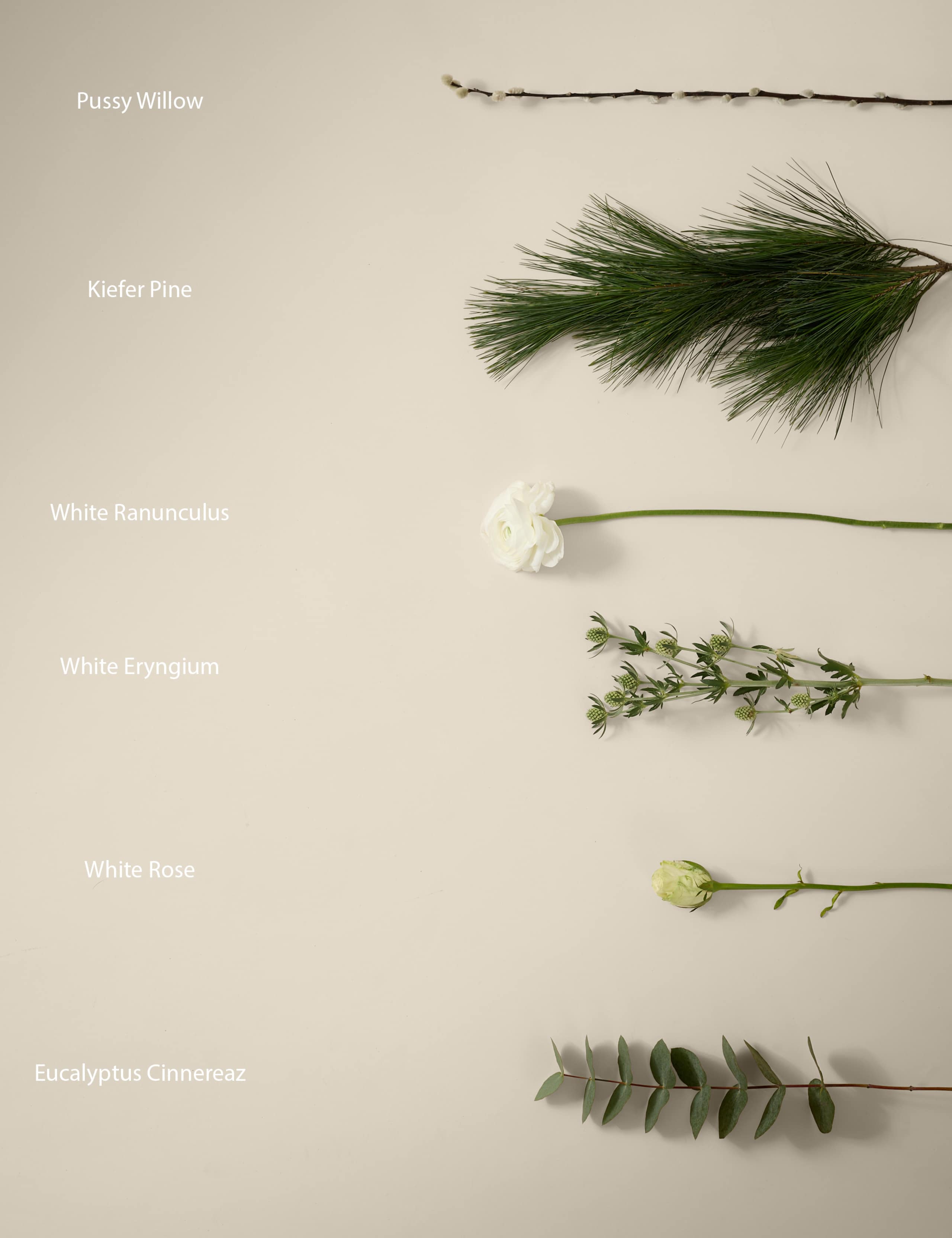 Kelly Hoppen Christmas Bouquet with Ranunculus 4 of 6