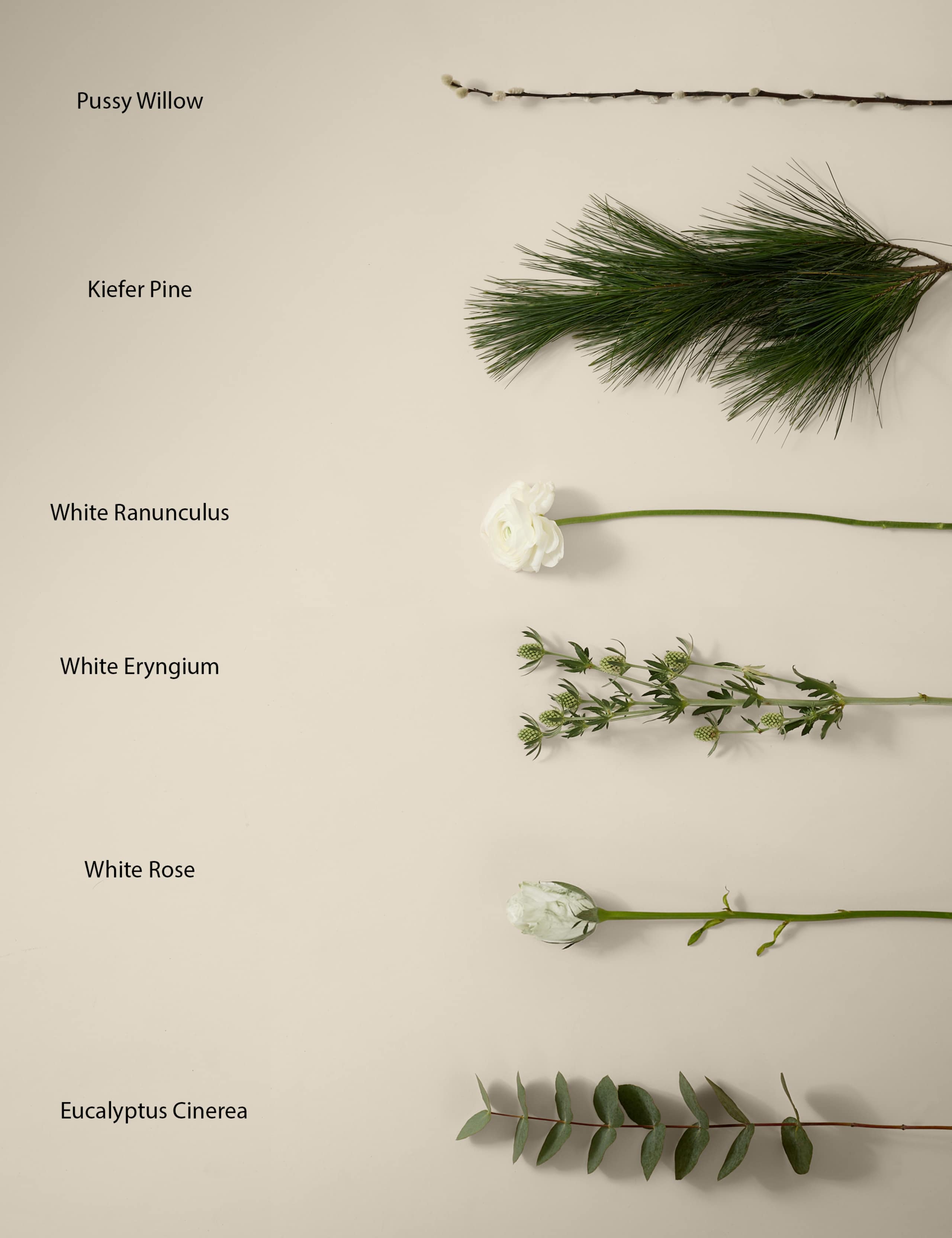 Kelly Hoppen Christmas Bouquet with Ranunculus 4 of 9