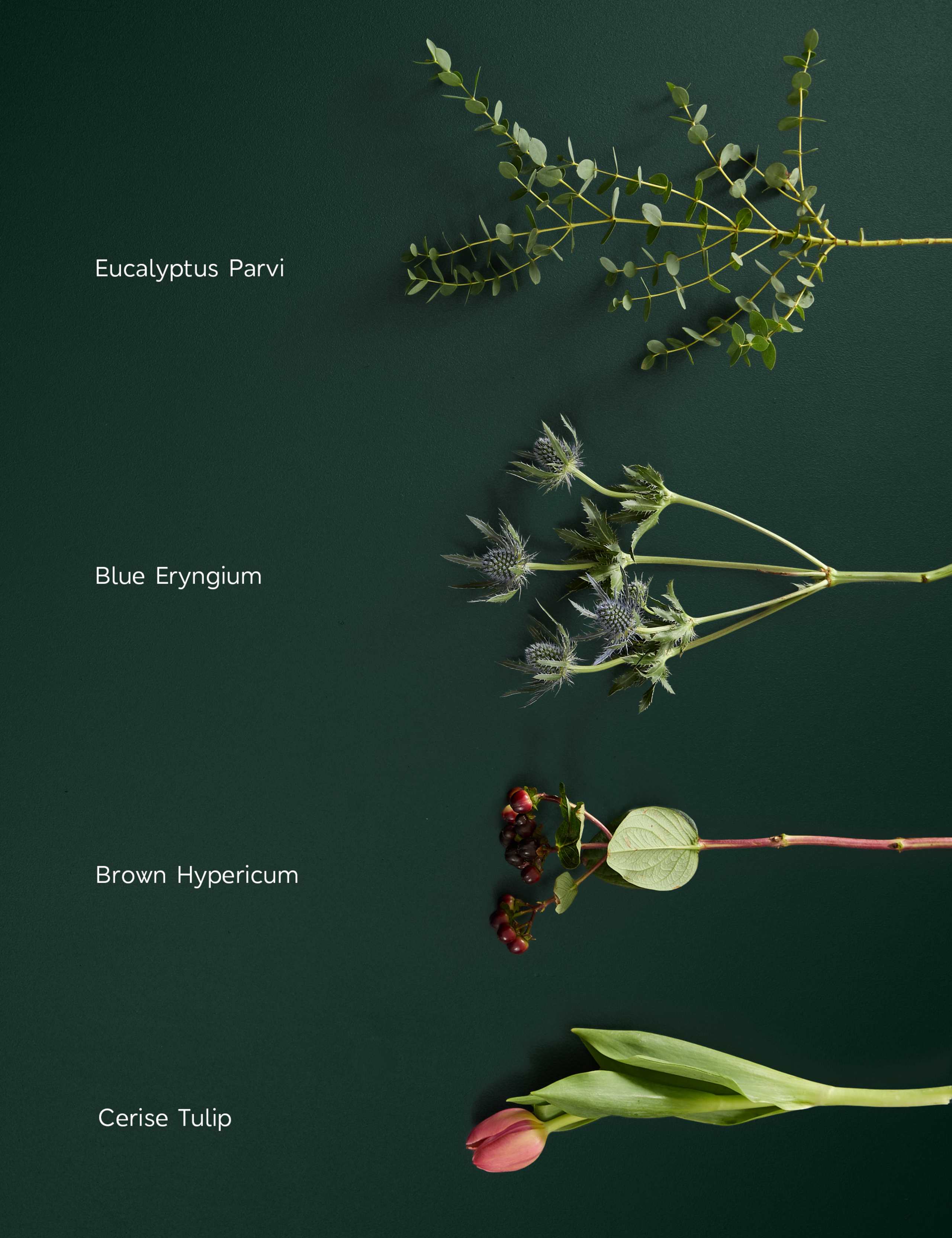 Tulips Bouquet with Vase 5 of 8