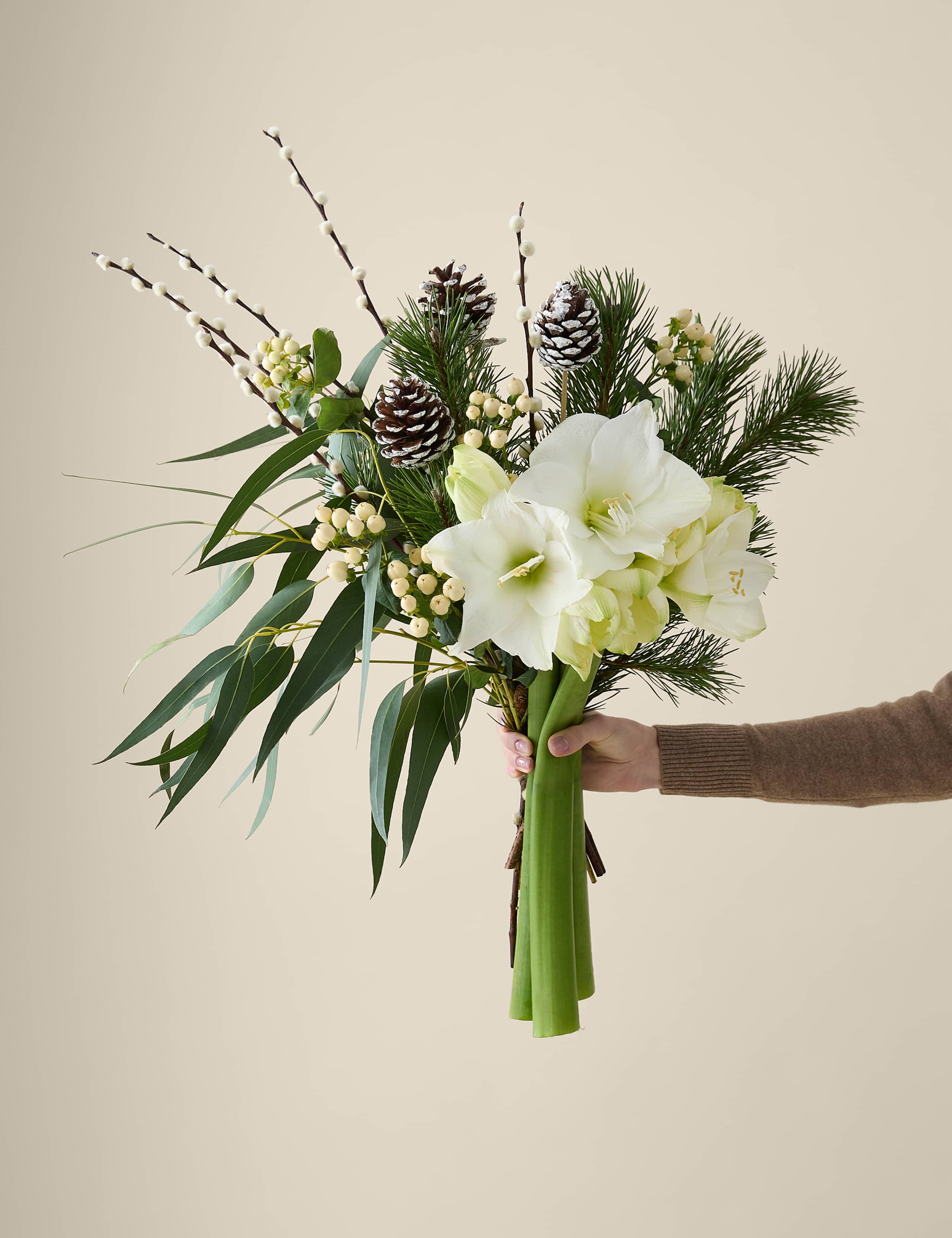 Festive White Amaryllis Bouquet 1 of 8