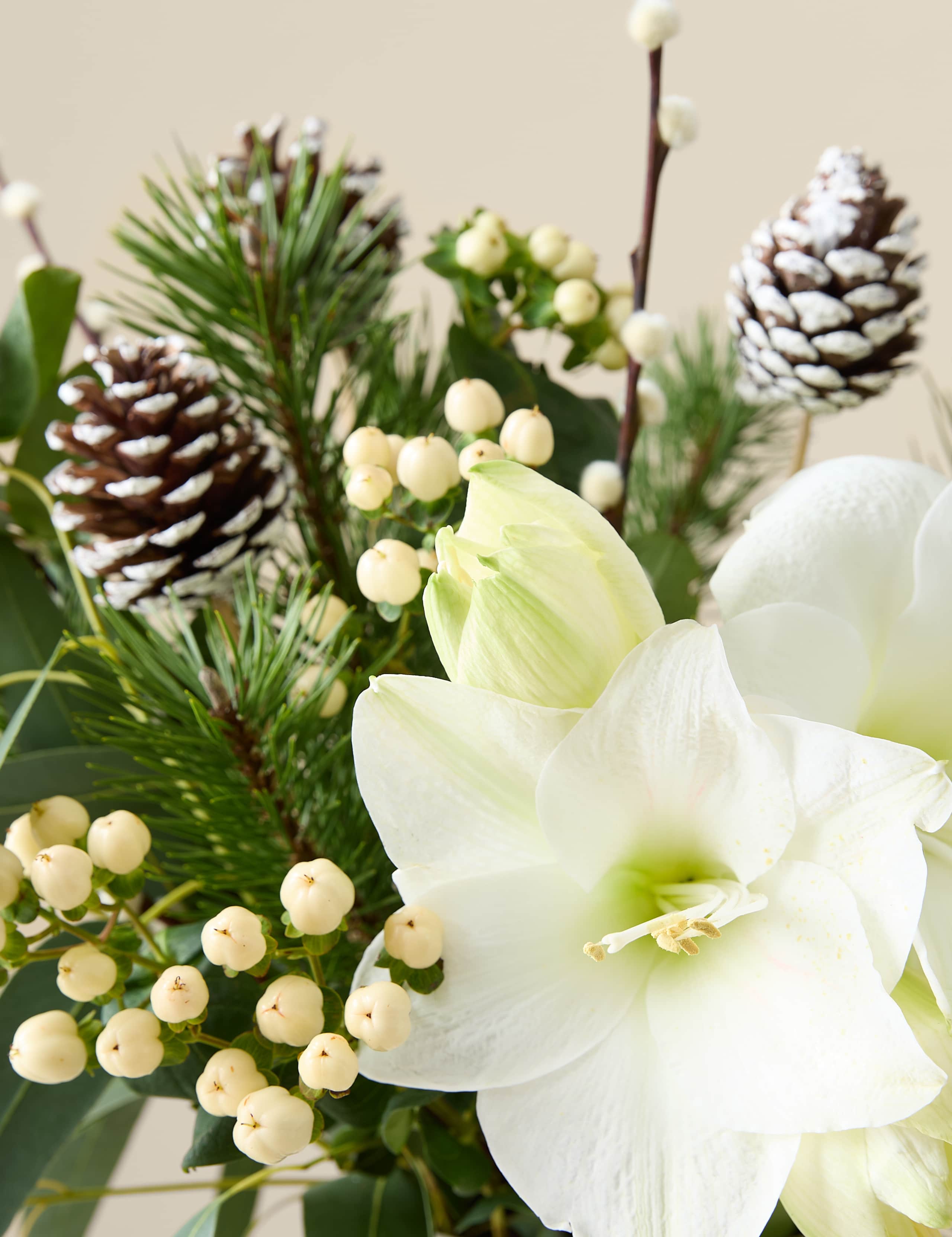 Festive White Amaryllis Bouquet 3 of 8