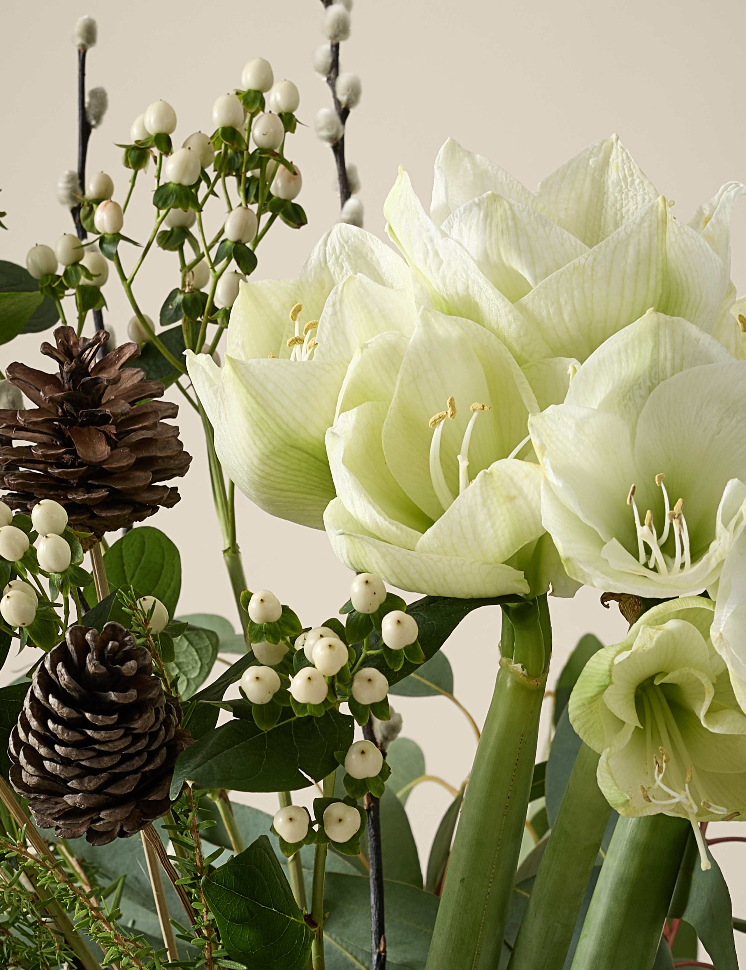 Kelly Hoppen White Amaryllis Christmas Bouquet 3 of 5