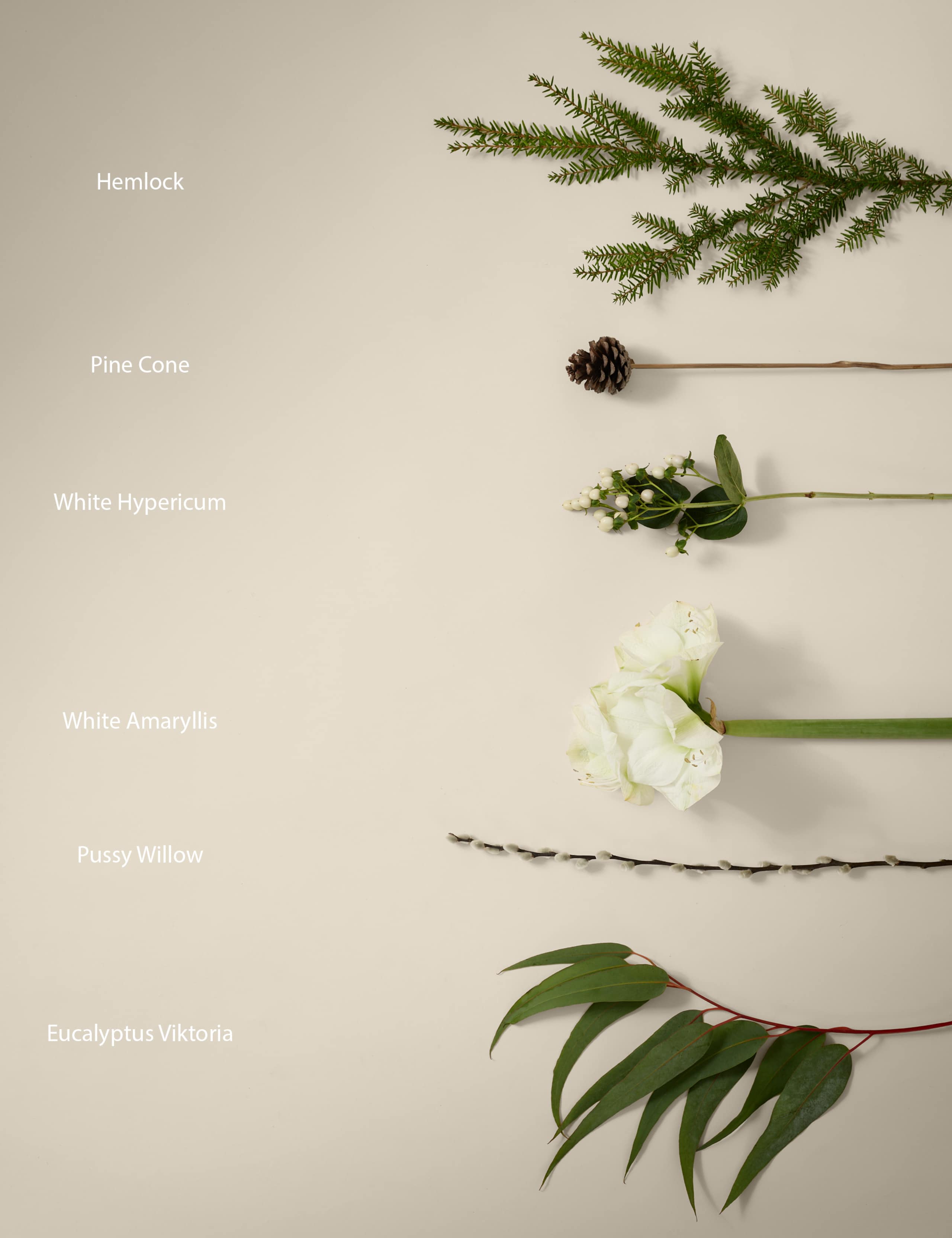 Kelly Hoppen White Amaryllis Christmas Bouquet 4 of 5