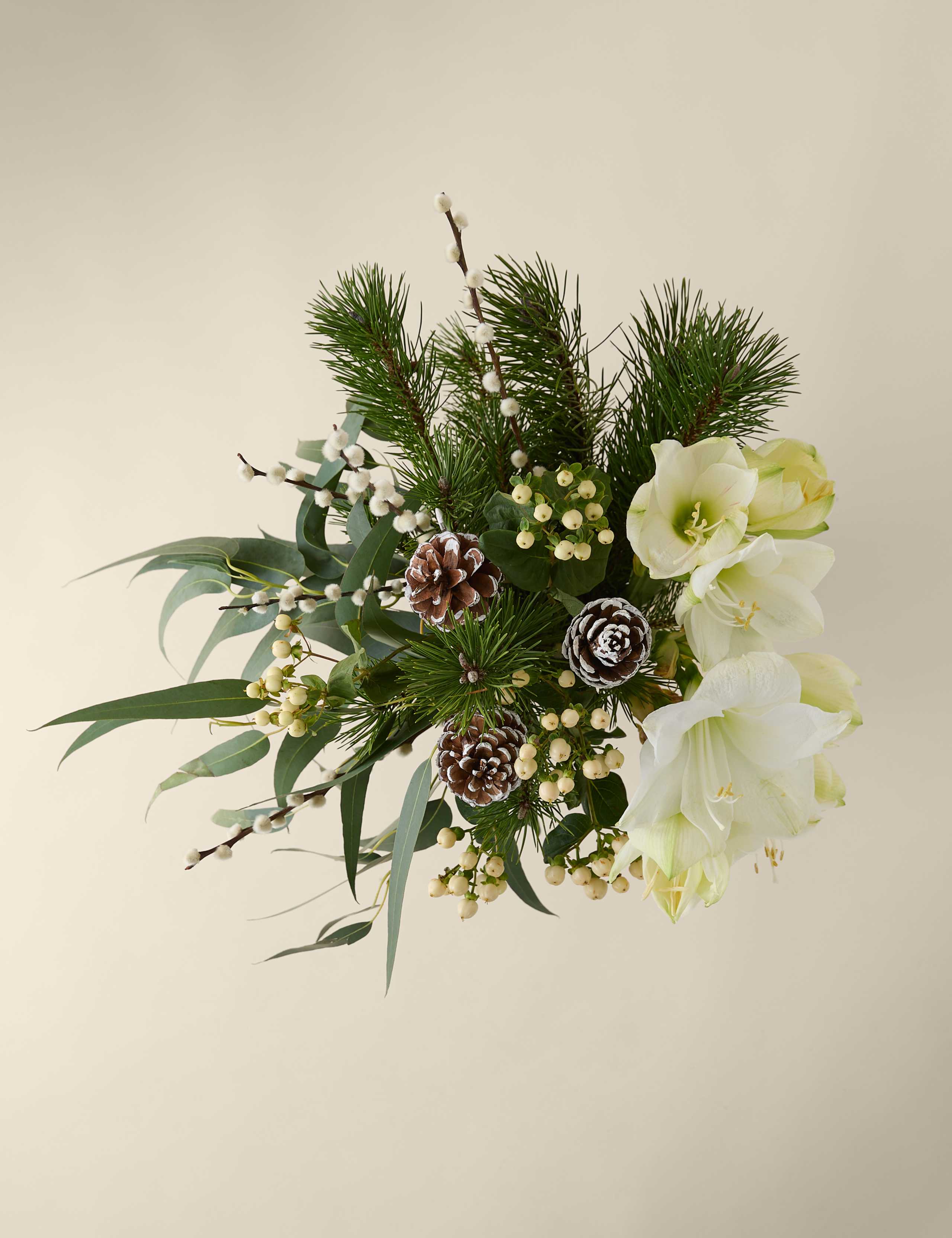 Festive White Amaryllis Bouquet 2 of 8