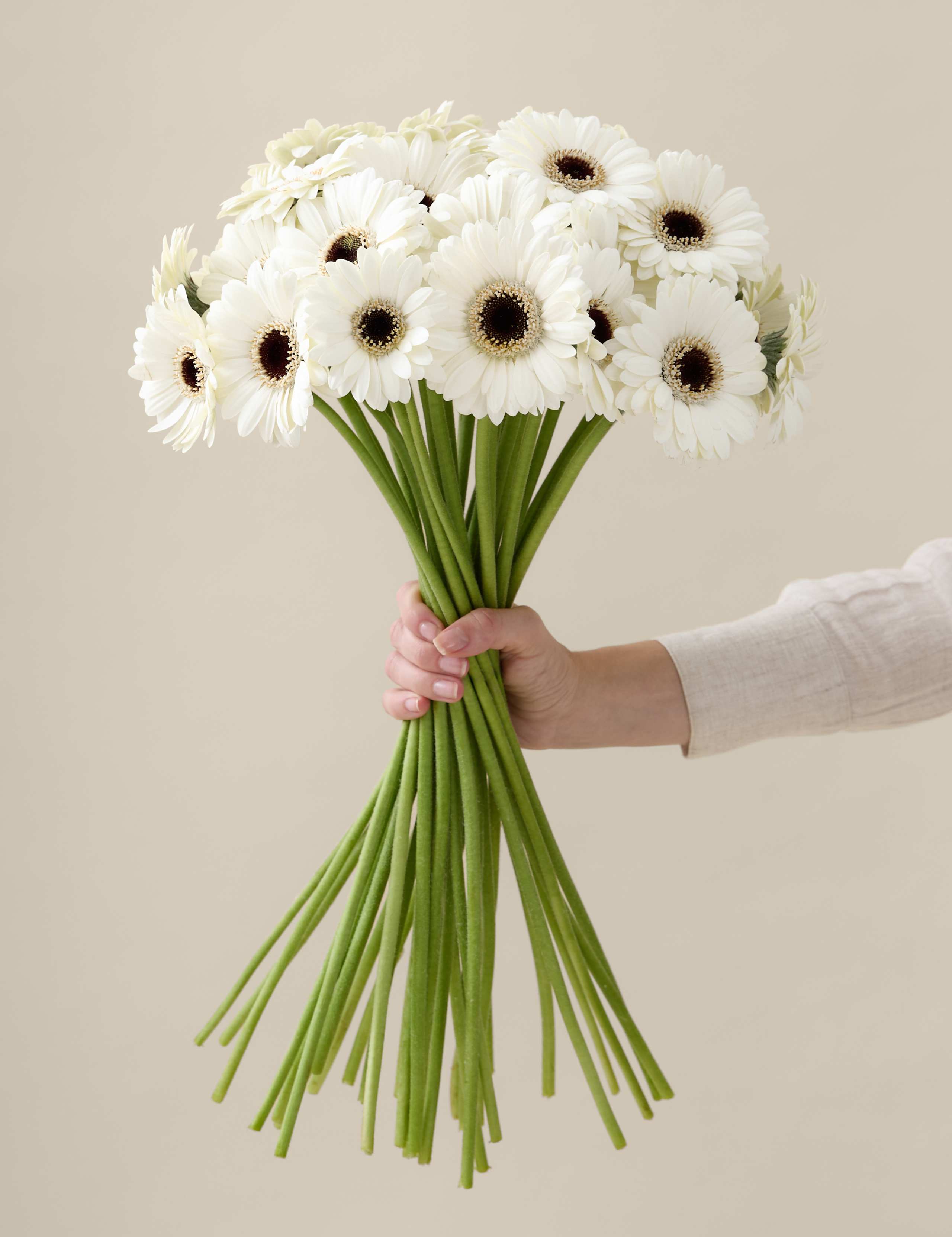 White Germini Bouquet 1 of 5