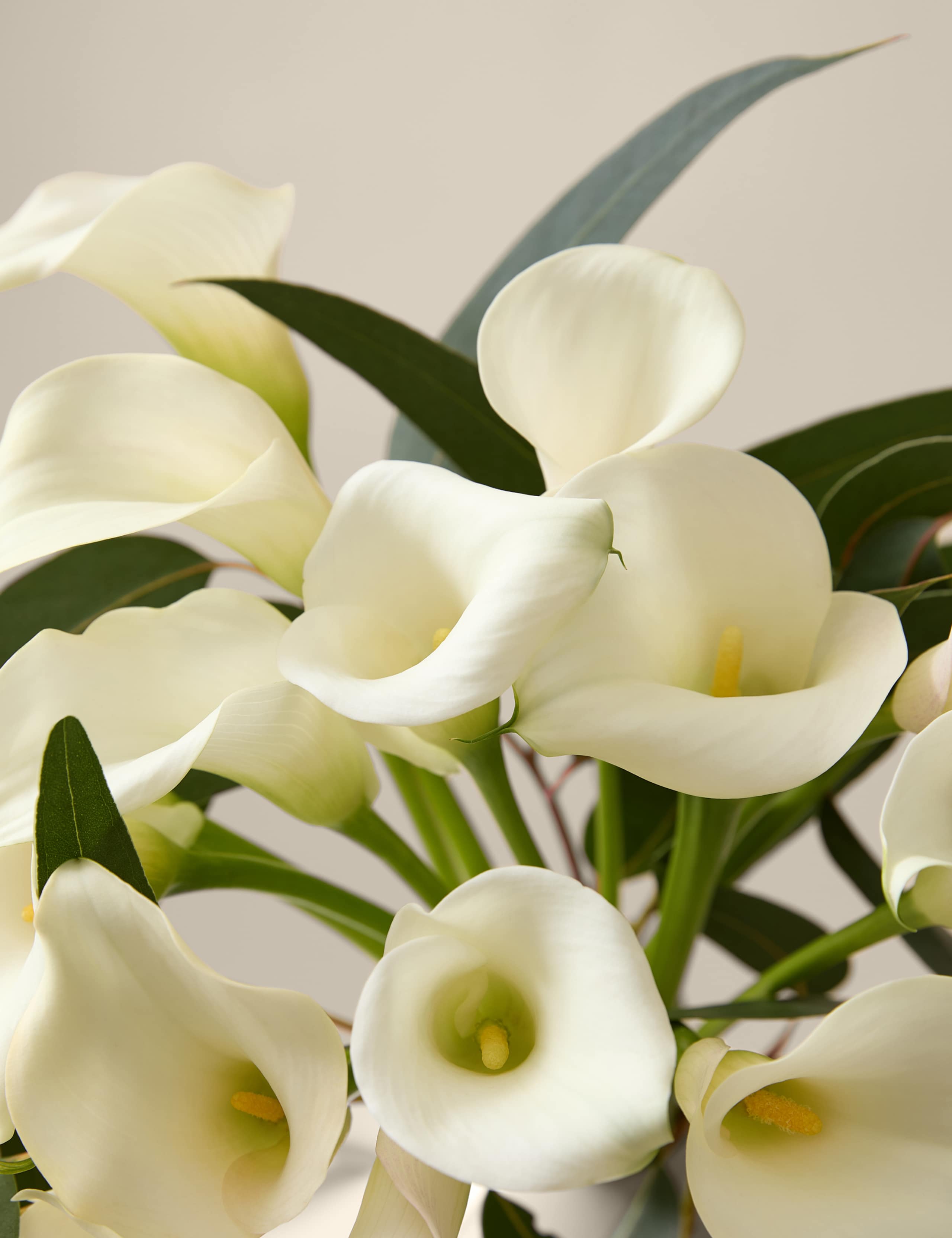 Kelly Hoppen Calla Lily Bouquet 3 of 8