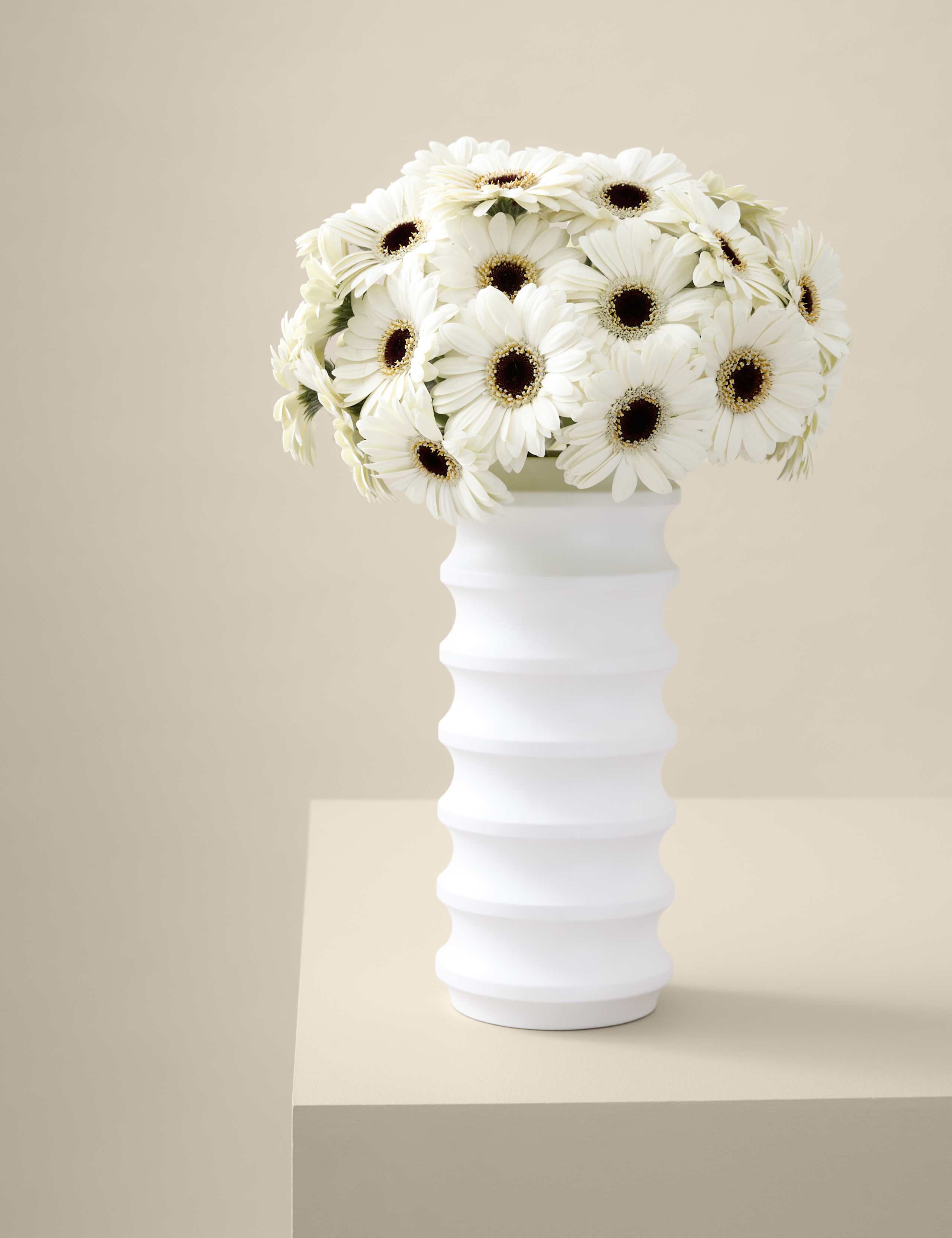 White Germini Bouquet 3 of 5