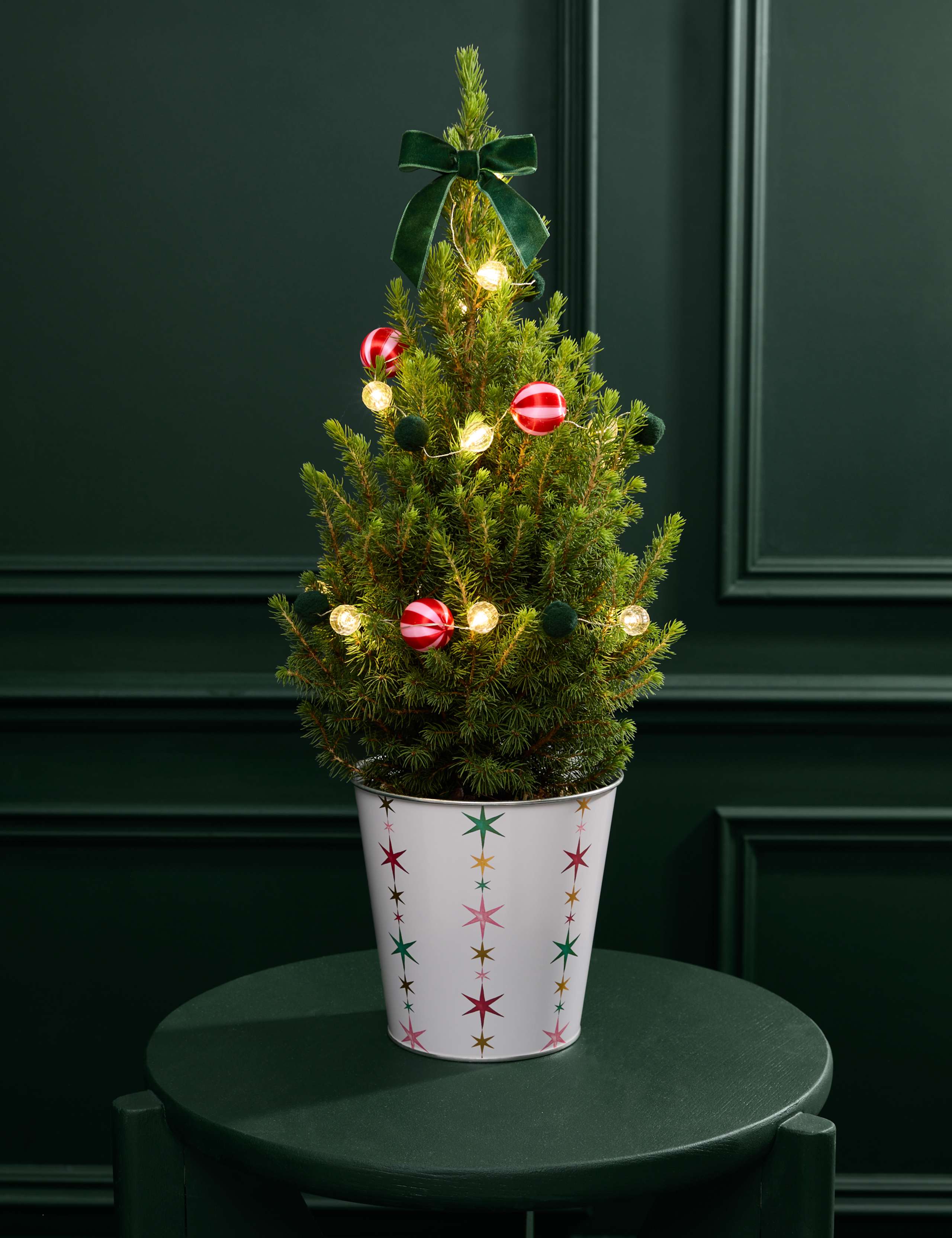 Mini Christmas Tree in Festive Star Pot 1 of 4