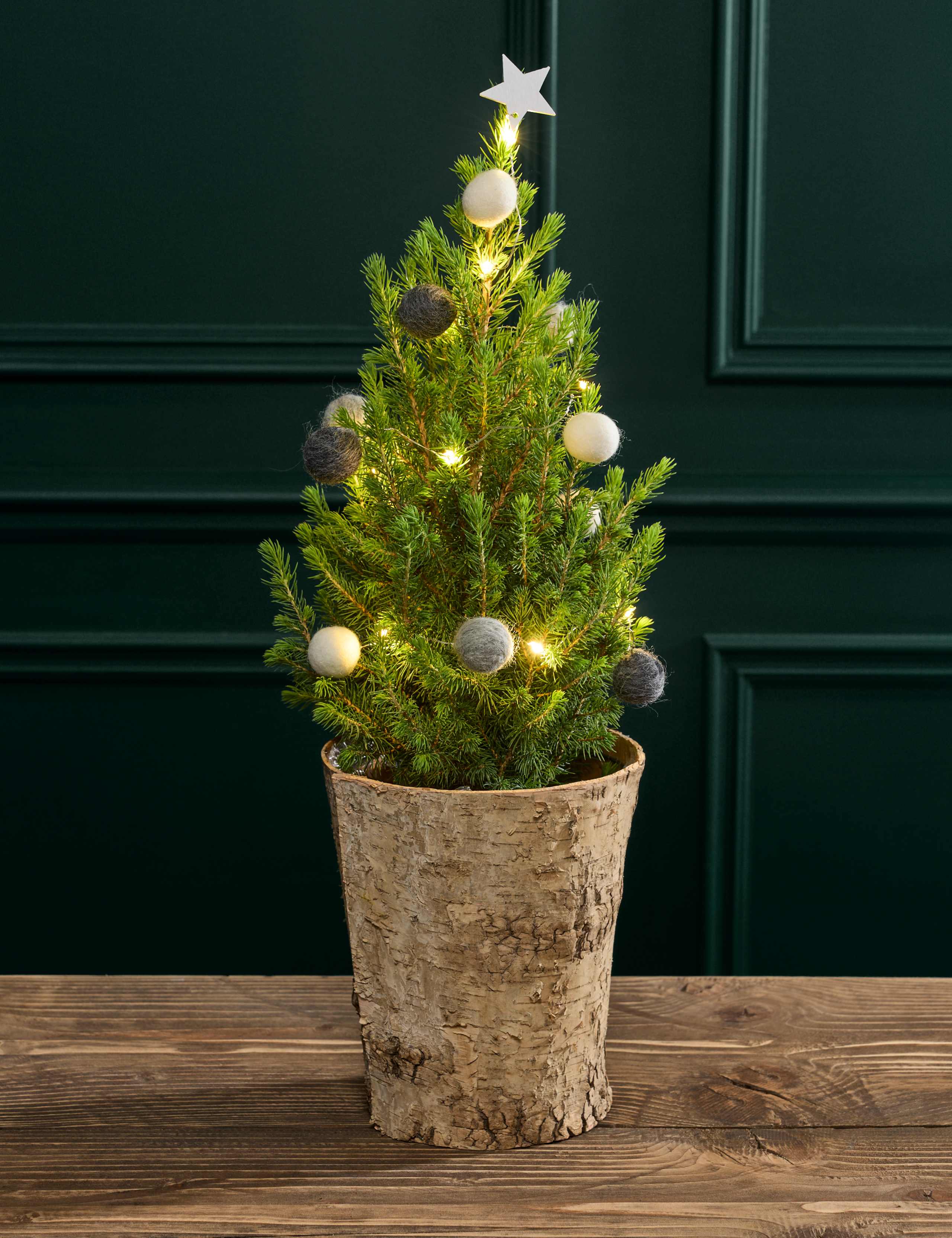 Natural Decorated Real Christmas Tree in Birch Pot 55-60cm 1 of 3