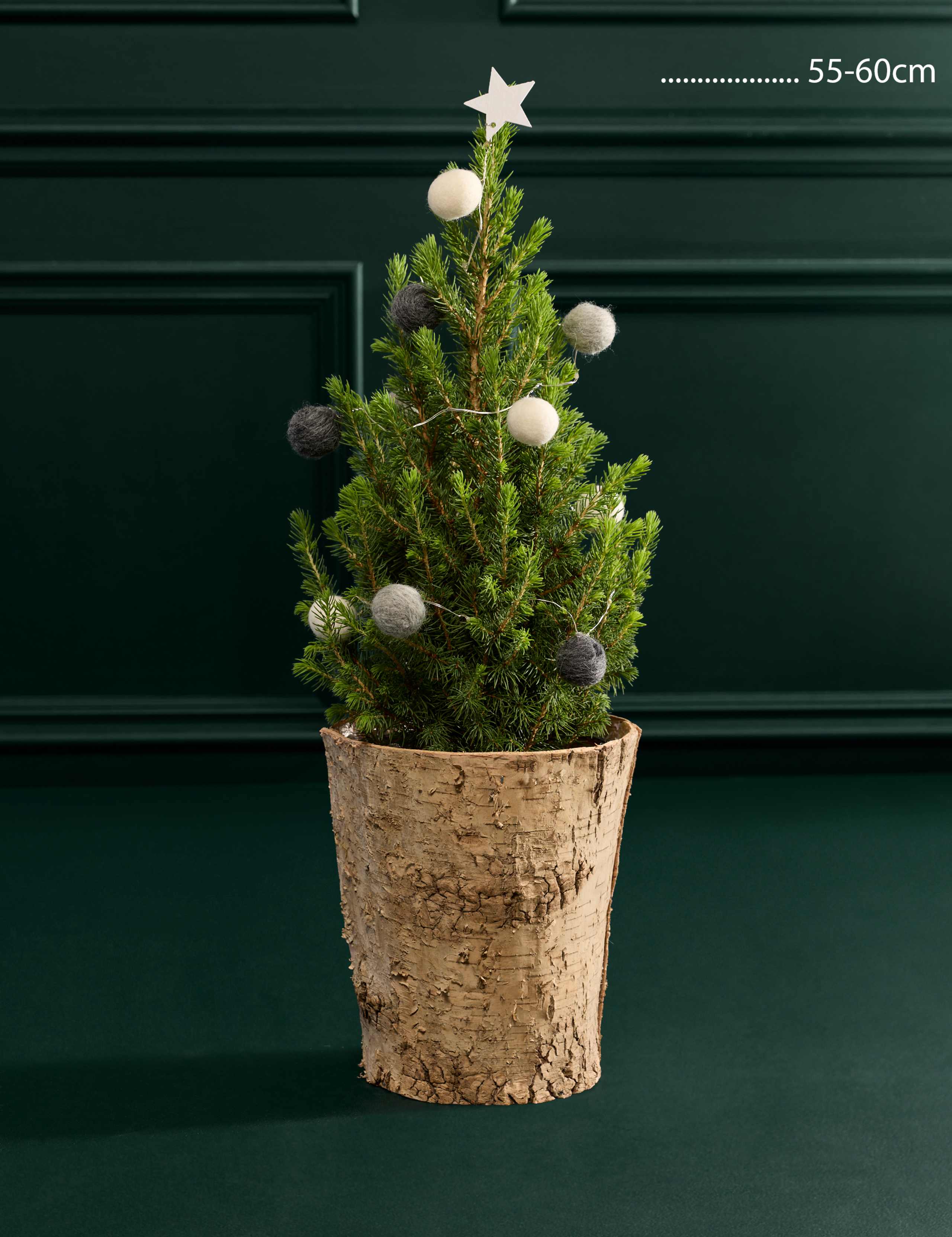 Natural Decorated Real Christmas Tree in Birch Pot 55-60cm 3 of 3
