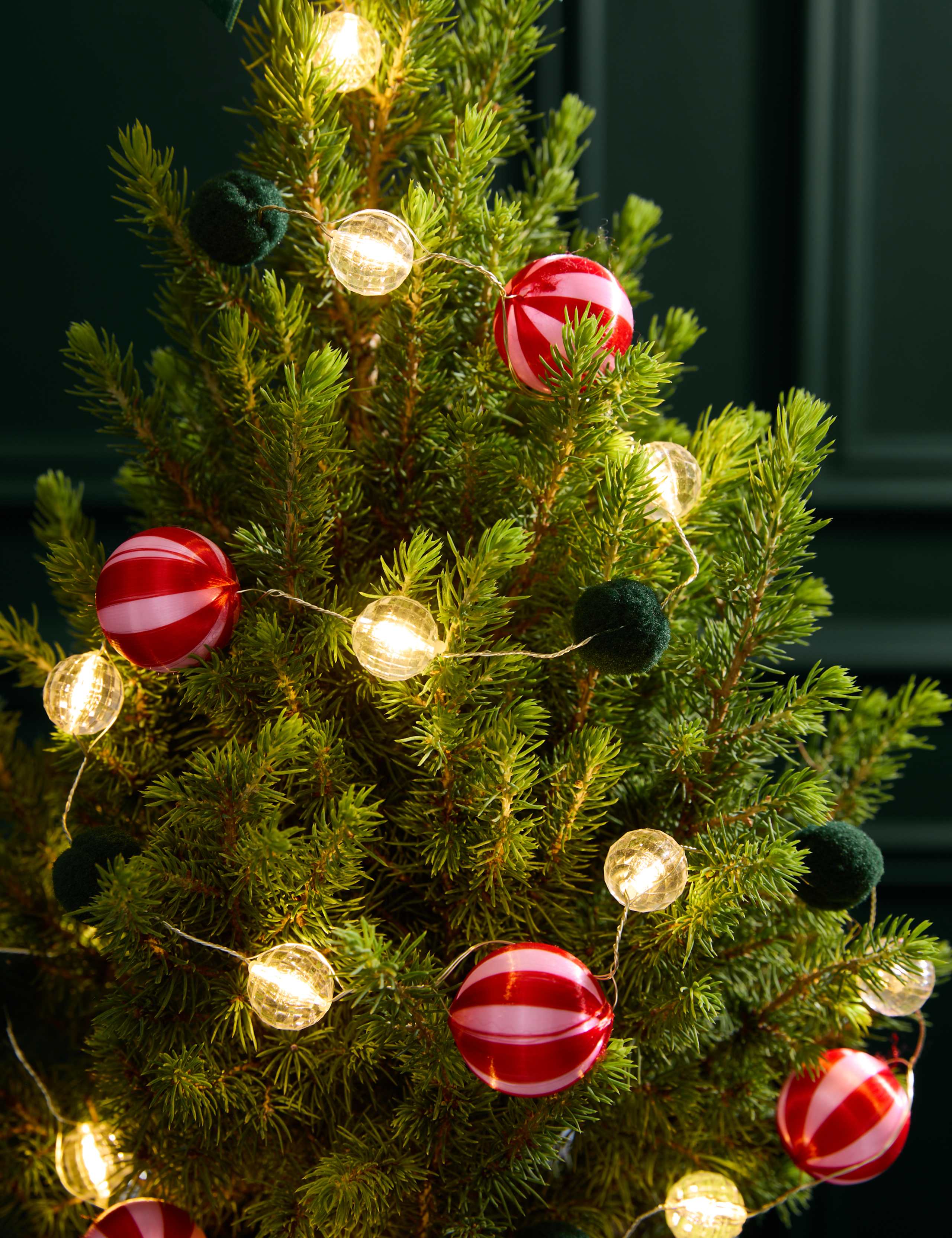 Mini Christmas Tree in Festive Star Pot 2 of 4