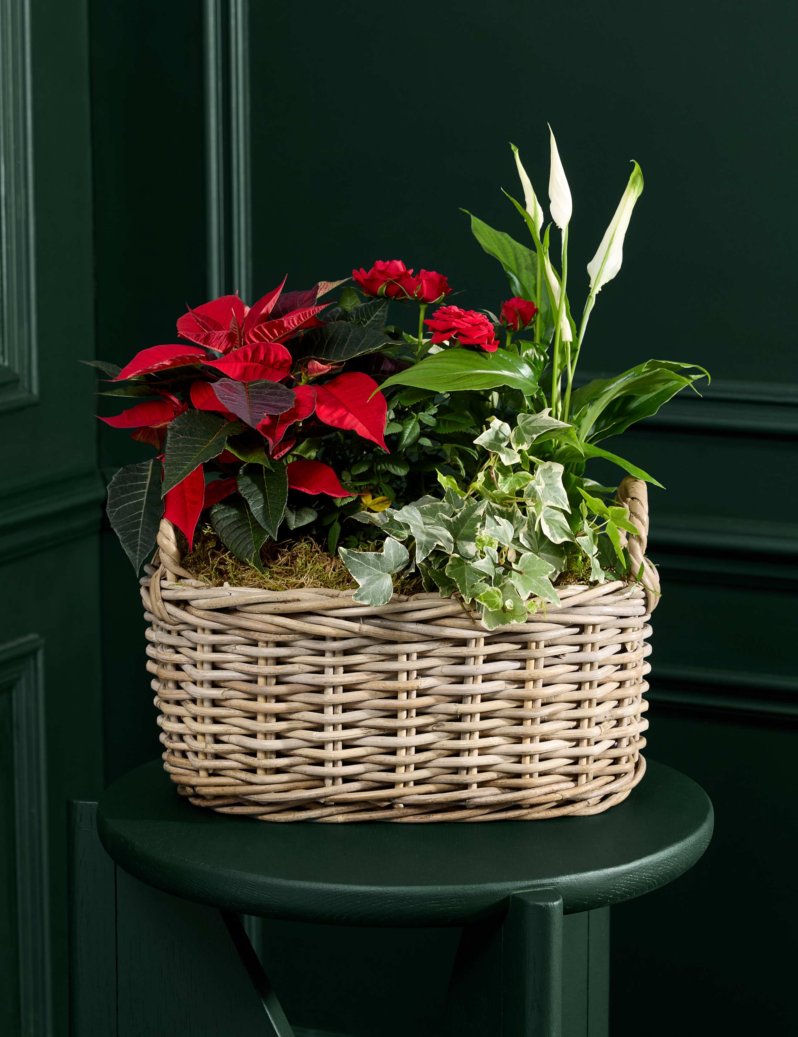 Large Red Christmas Flowering Plant Basket 1 of 4