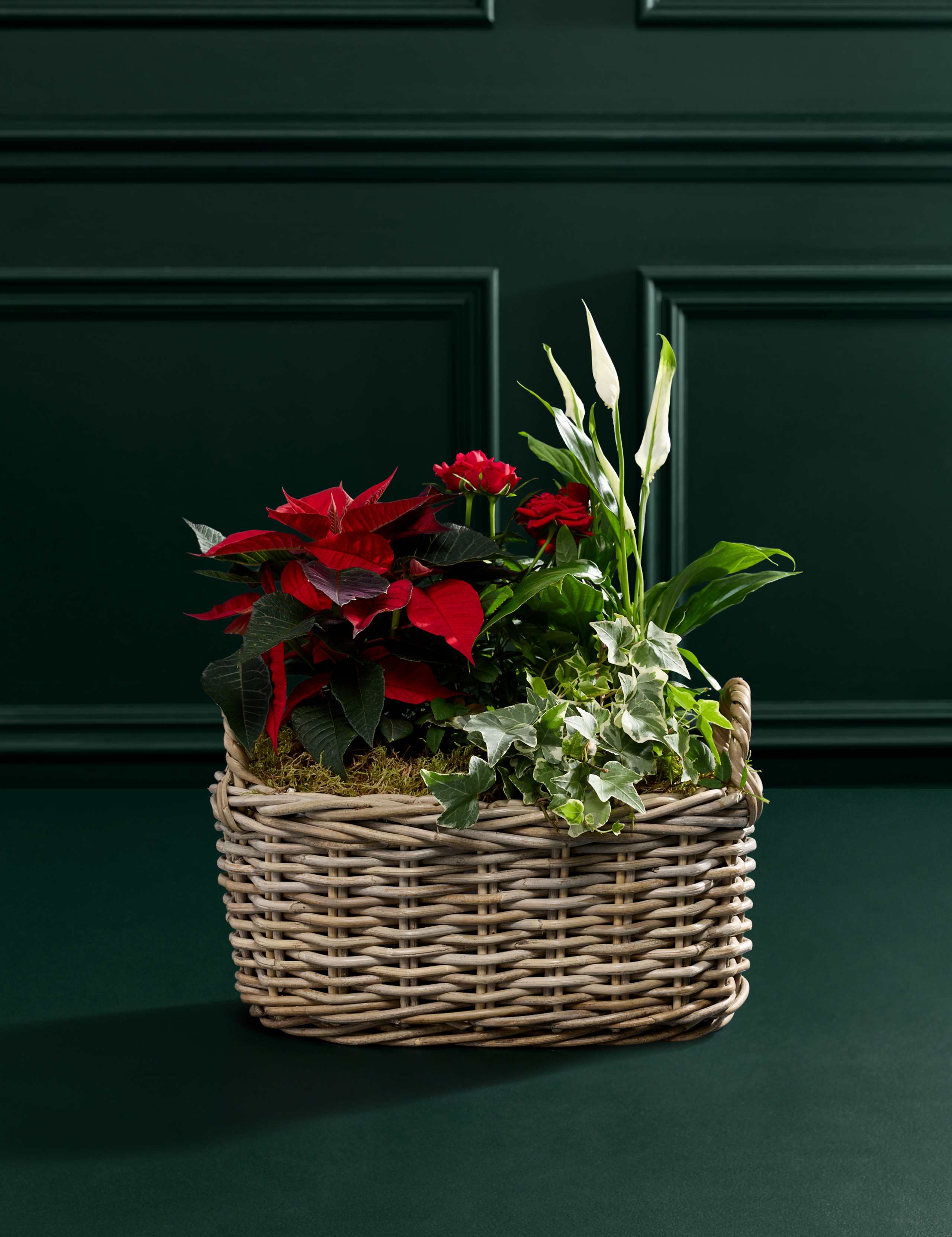 Large Red Christmas Flowering Plant Basket 3 of 4