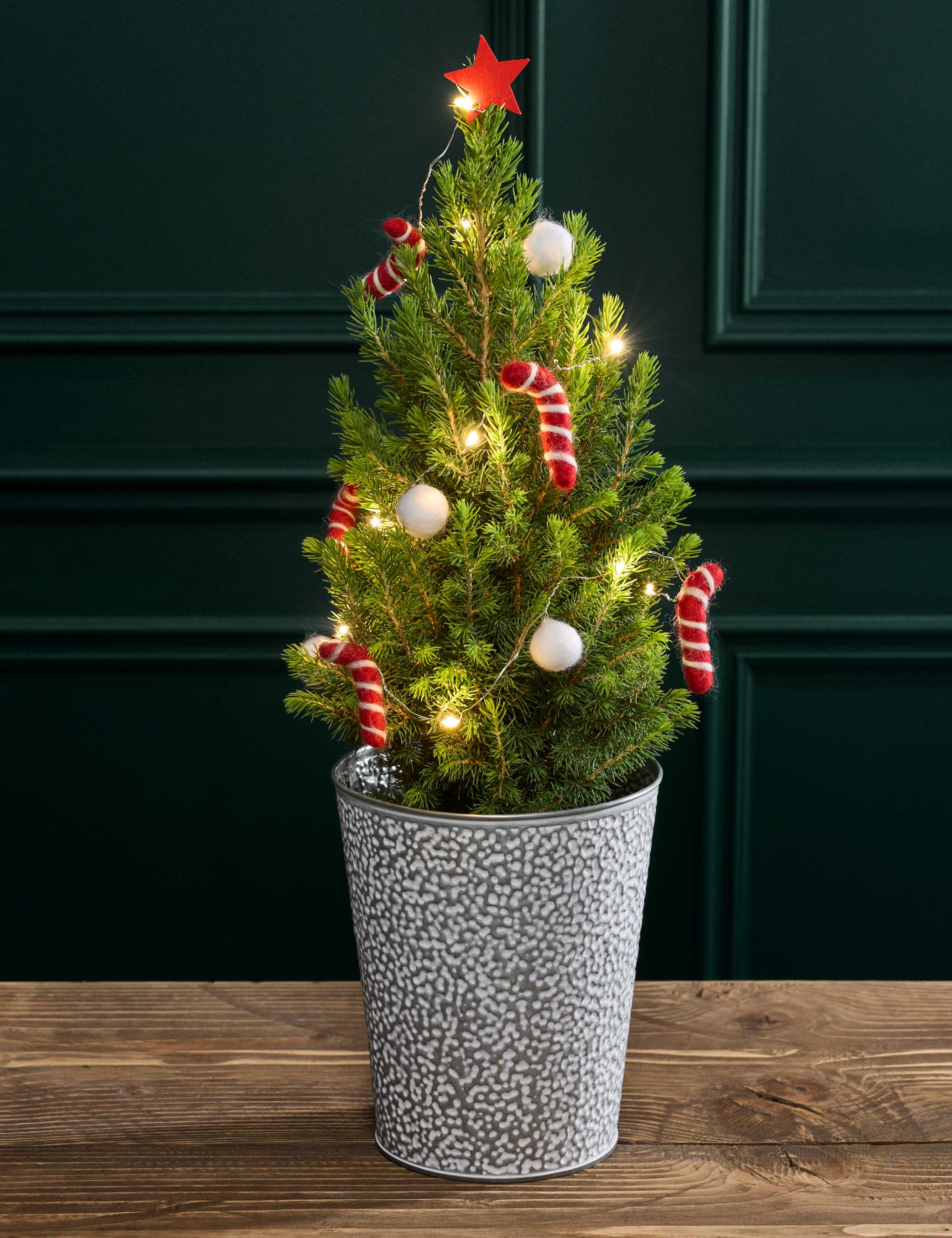 White Decorated Real Christmas Tree in Tin Pot 55-60cm 1 of 3