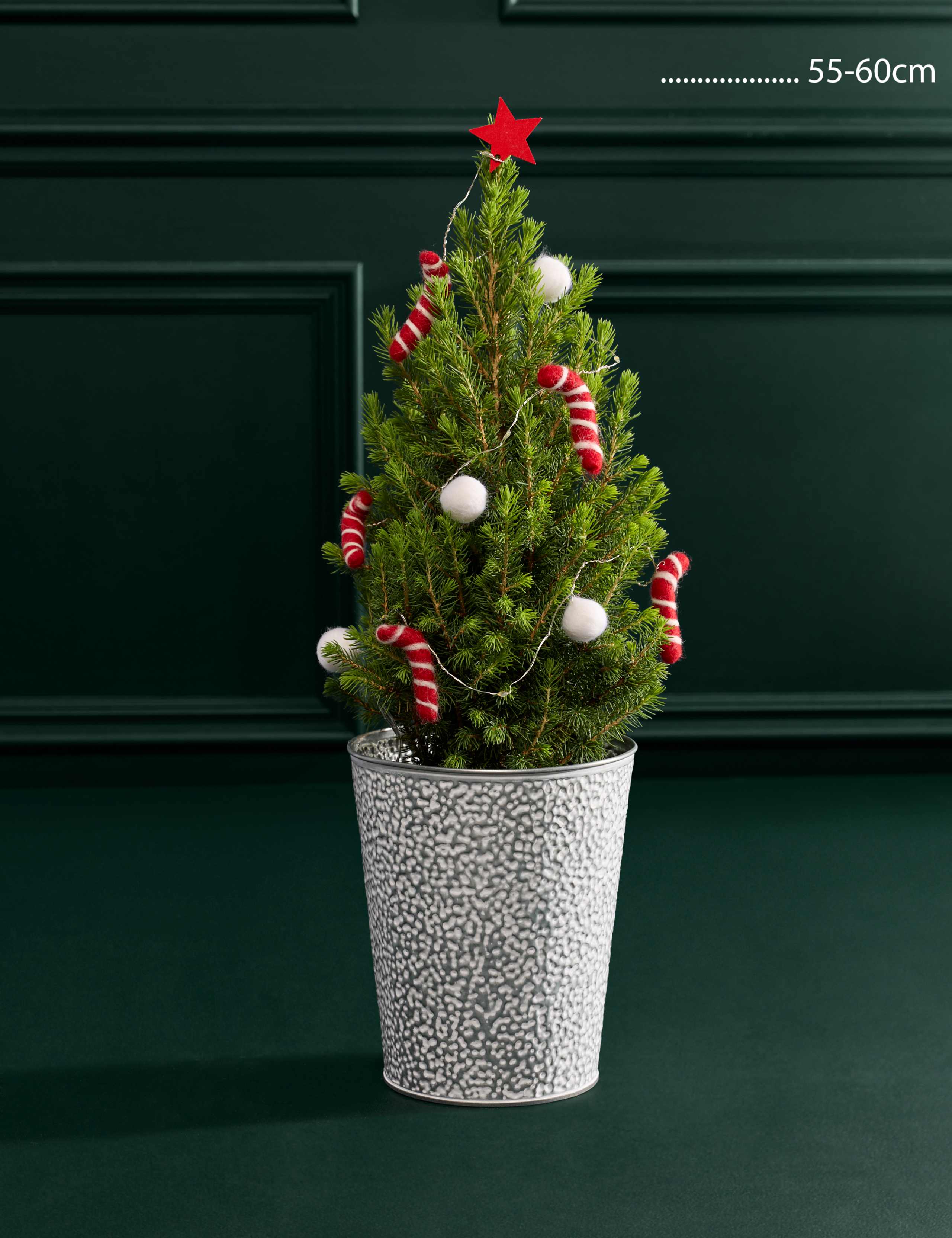 White Decorated Real Christmas Tree in Tin Pot 55-60cm 3 of 3