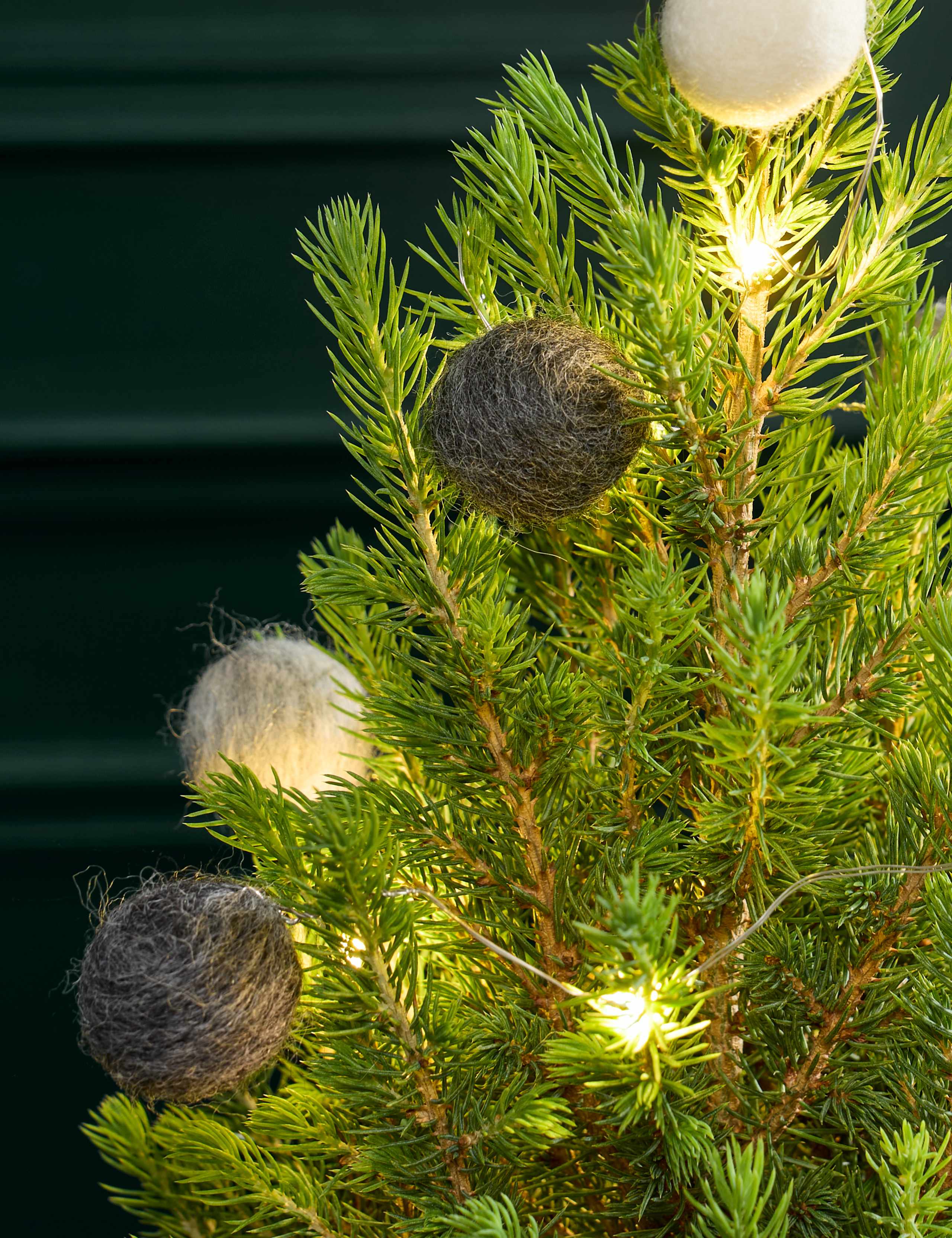 Natural Decorated Real Christmas Tree with Merry Munch Tin 2 of 3