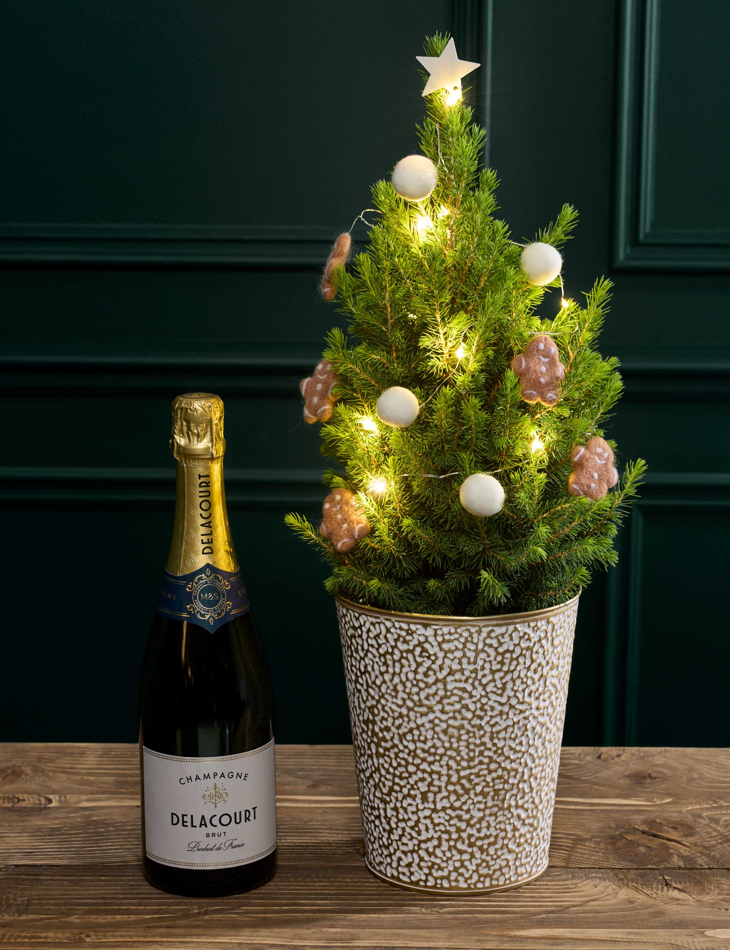 Gold Decorated Real Christmas Tree 55-60cm with Champagne 1 of 3