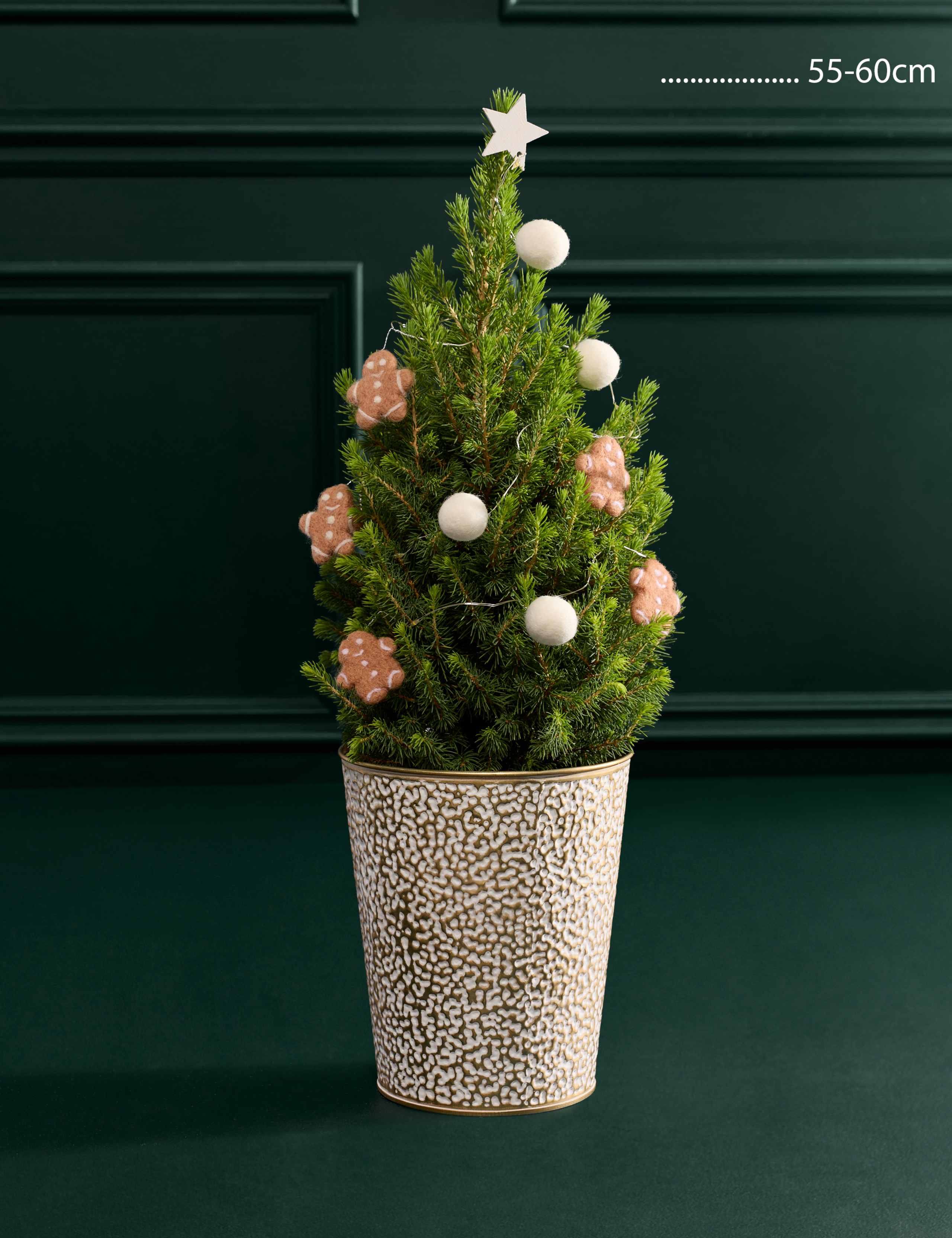 Gold Decorated Real Christmas Tree 55-60cm with Champagne 3 of 3