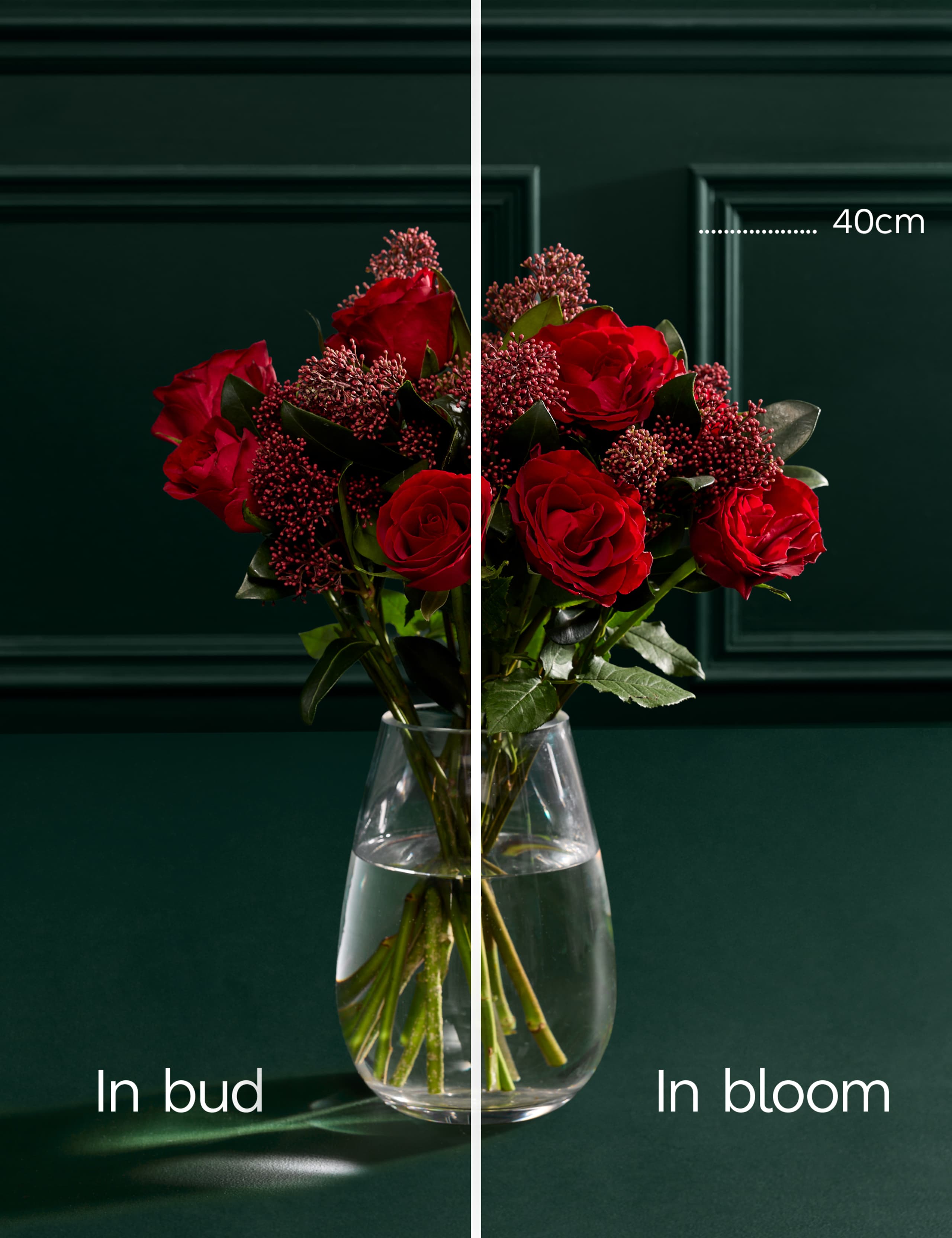 Rose & Skimmia Posy 4 of 5