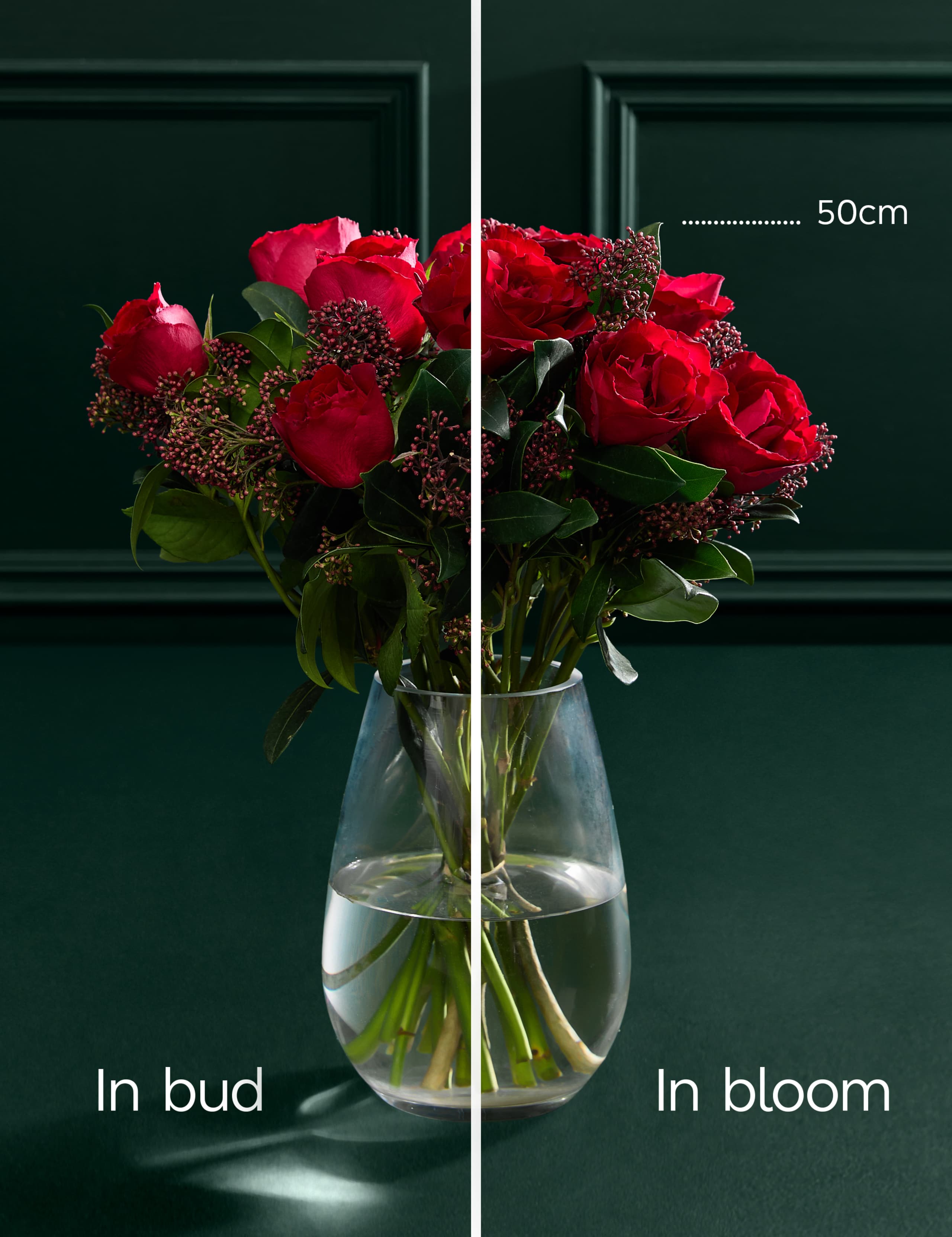 Rose & Skimmia Posy 4 of 6