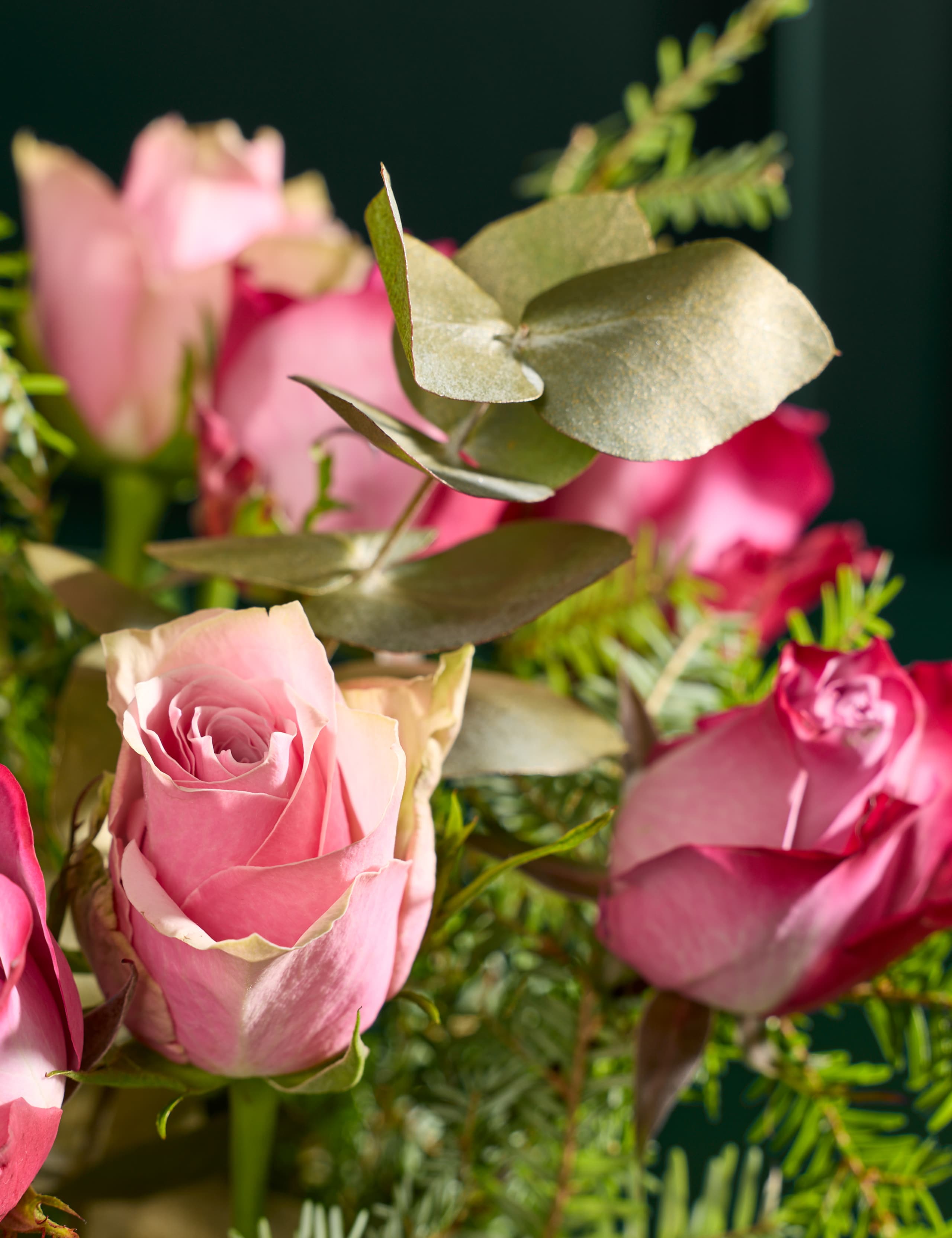 Purple Rose & Eucalyptus Posy 3 of 5