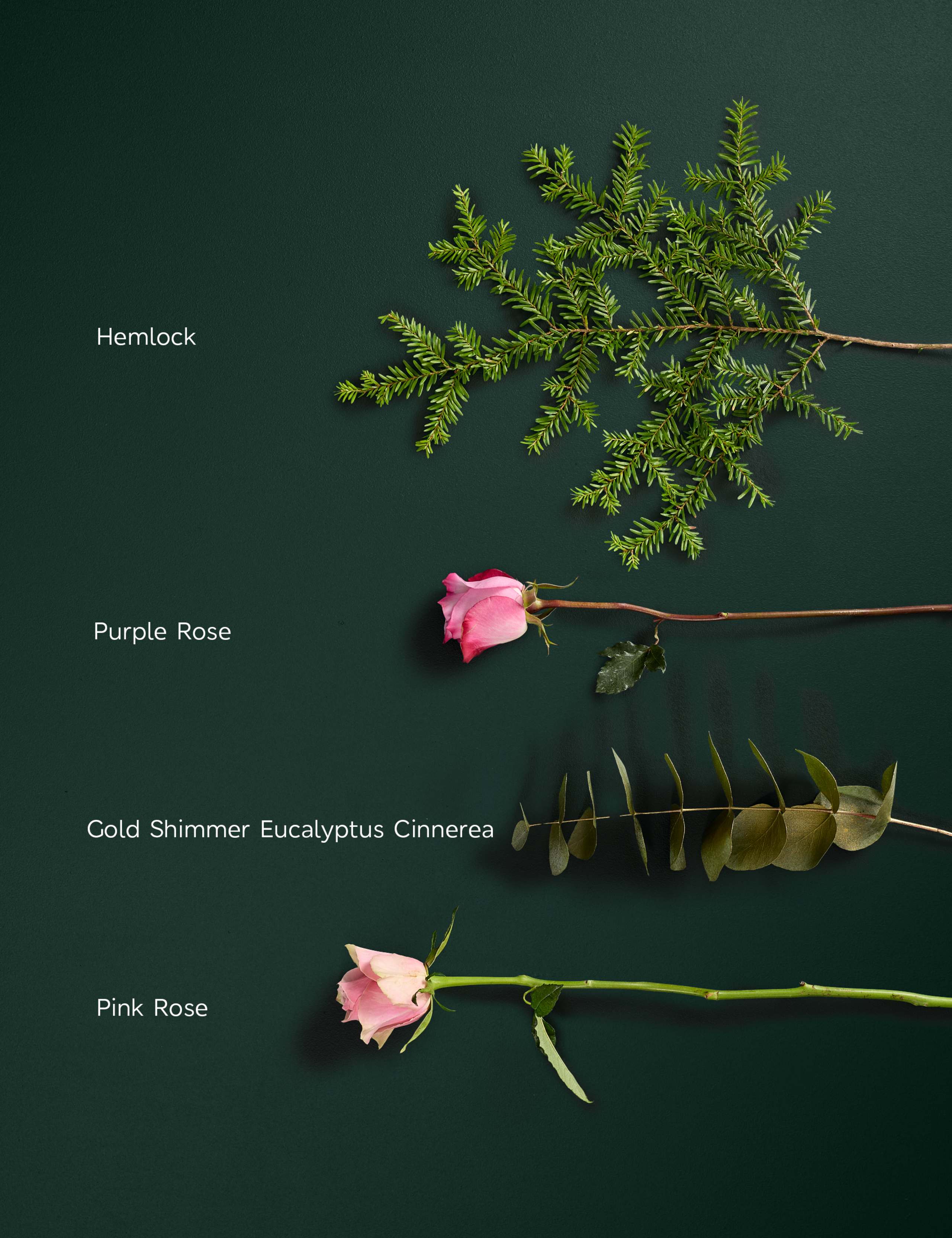Purple Rose & Eucalyptus Posy 4 of 5