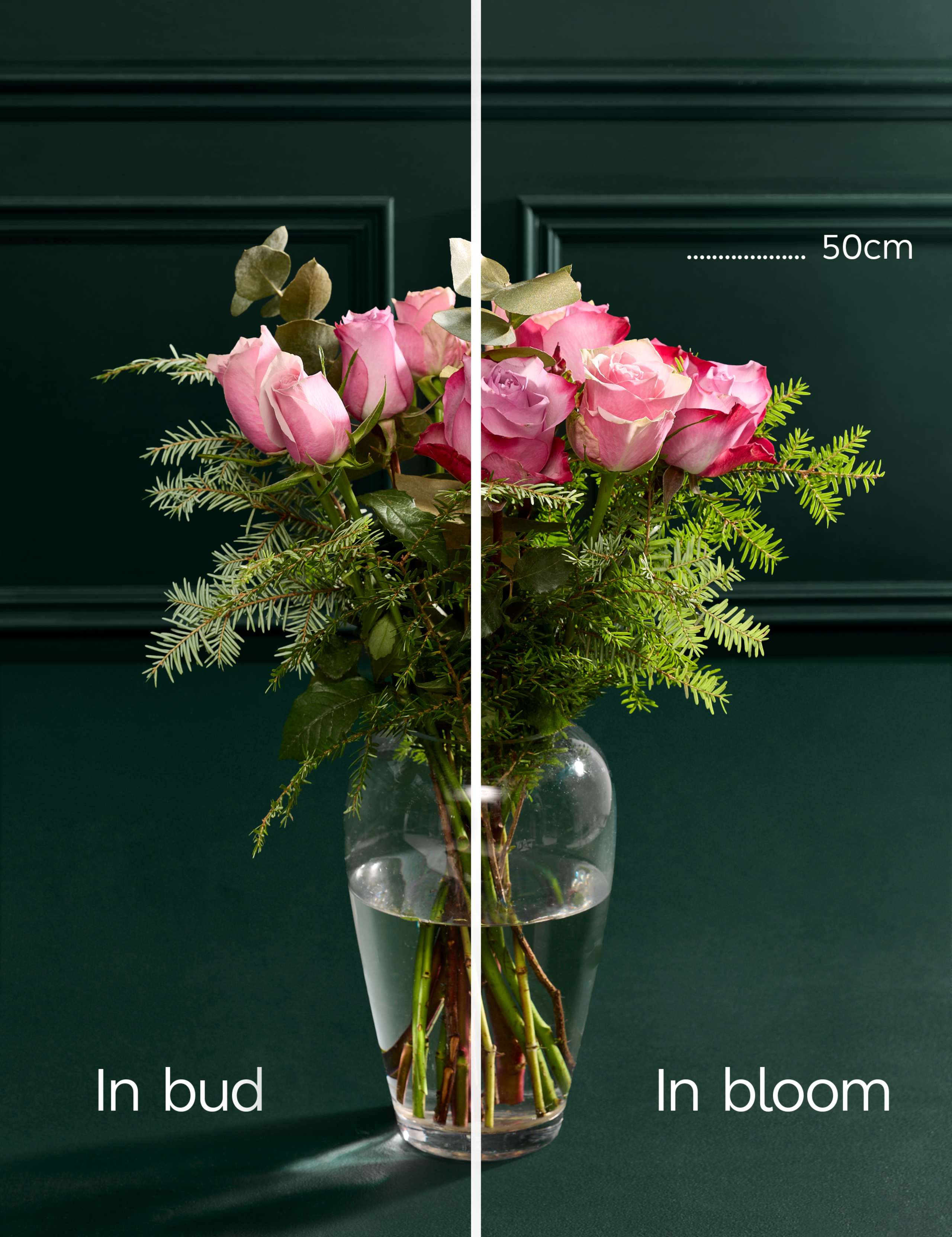 Purple Rose & Eucalyptus Posy 5 of 5