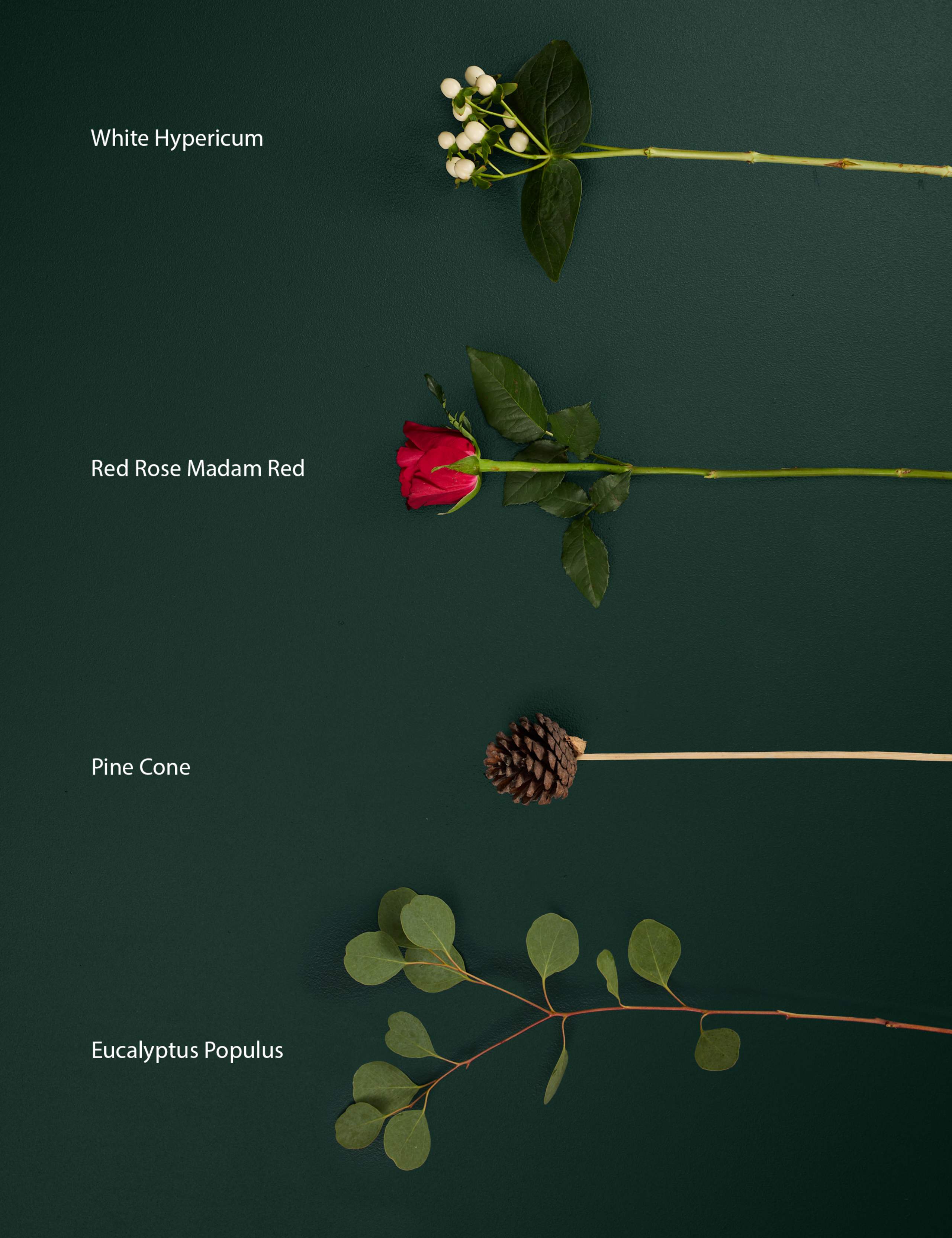 Festive Red Rose & Hypericum Bouquet 4 of 6