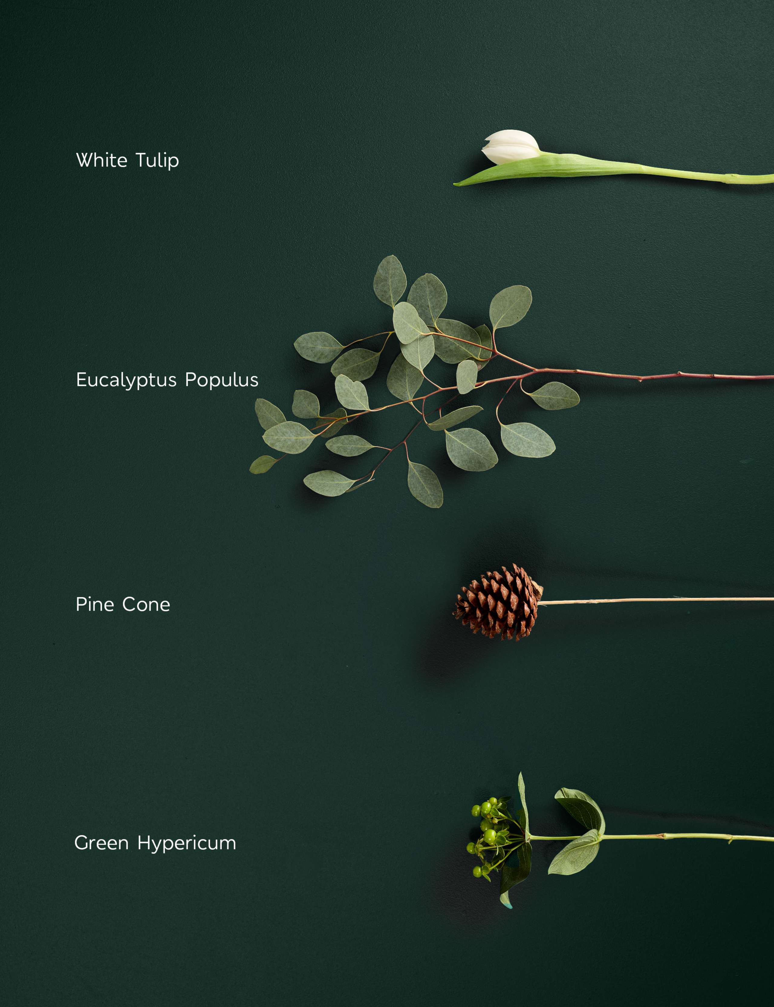 Festive White Tulip Bouquet 4 of 7