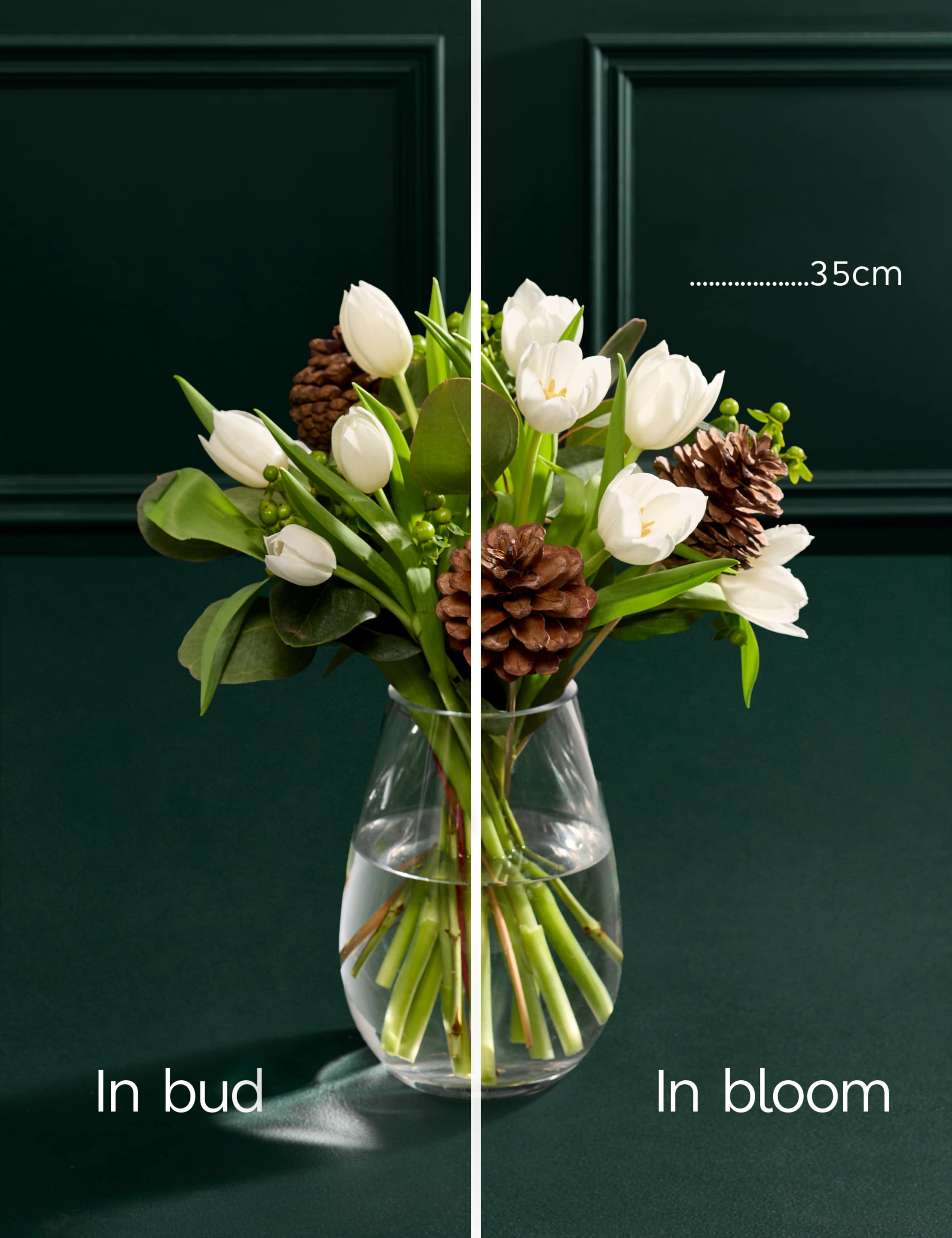 Festive White Tulip Bouquet 5 of 7