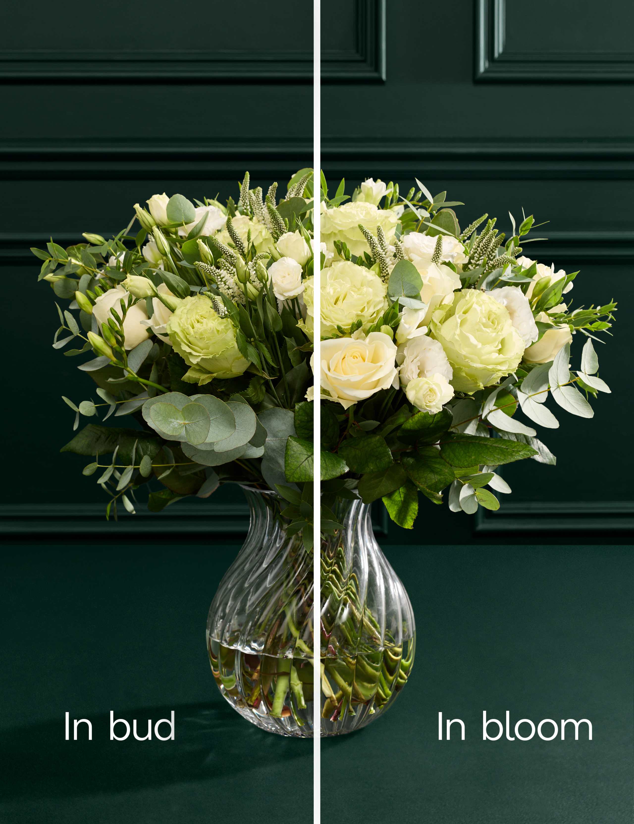 Rose, Freesia & Eucalyptus Bouquet with Vase 5 of 8