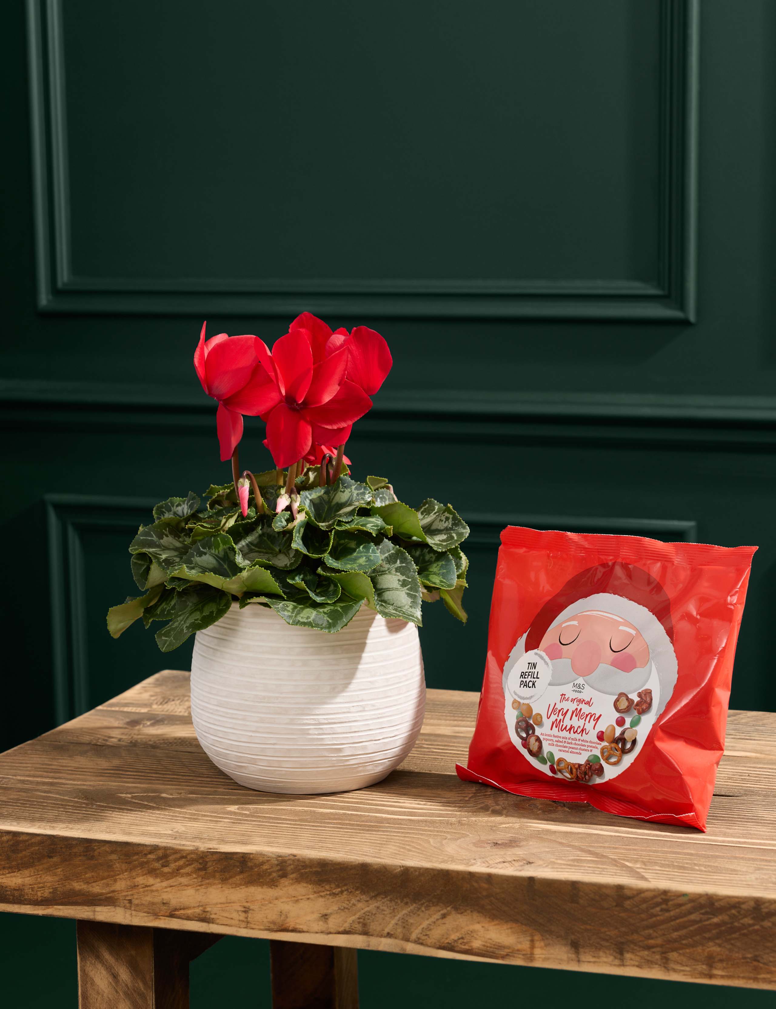 Red Cyclamen in Ceramic Pot with Merry Munch 1 of 3
