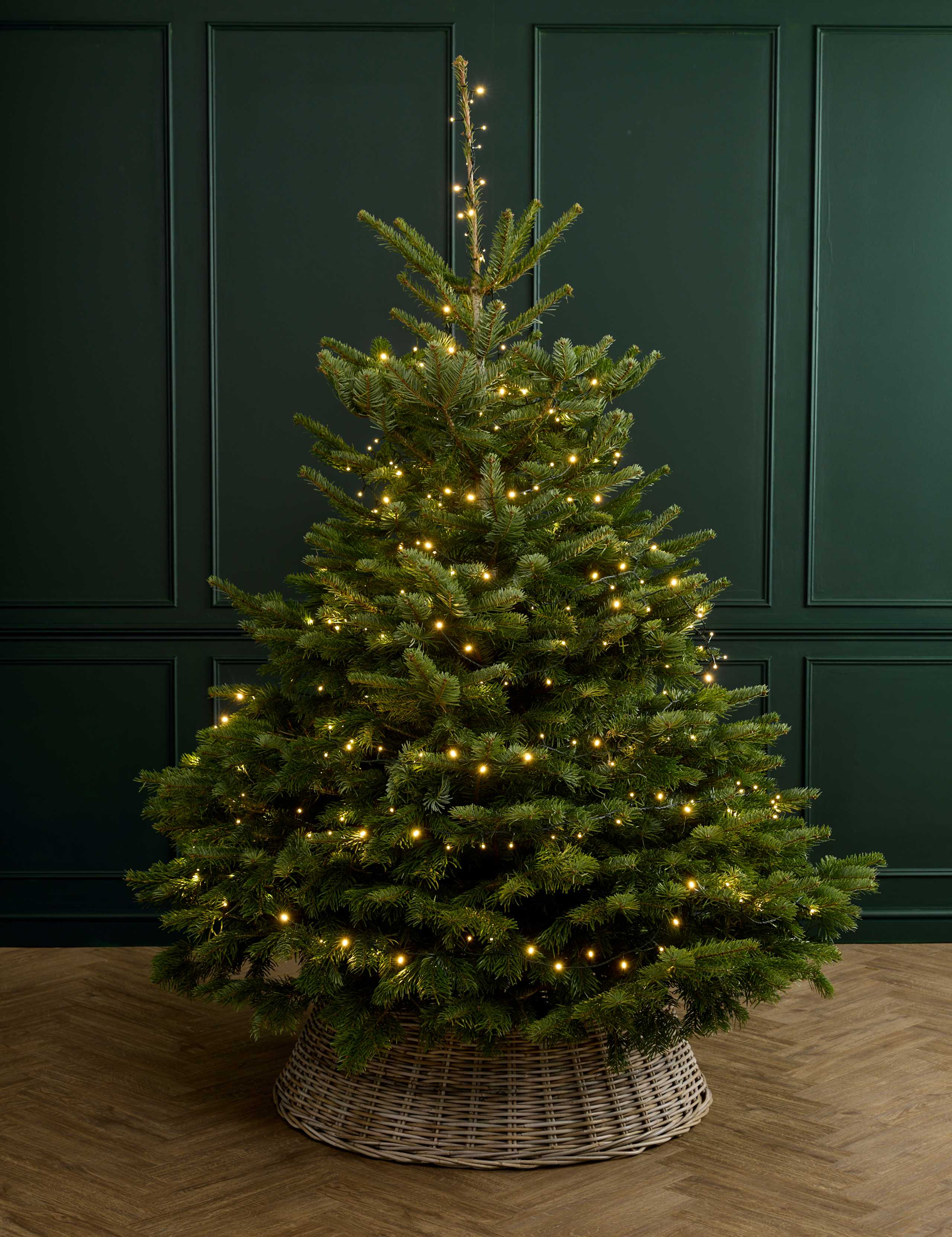 7ft Real Christmas Tree with Lights 1 of 5