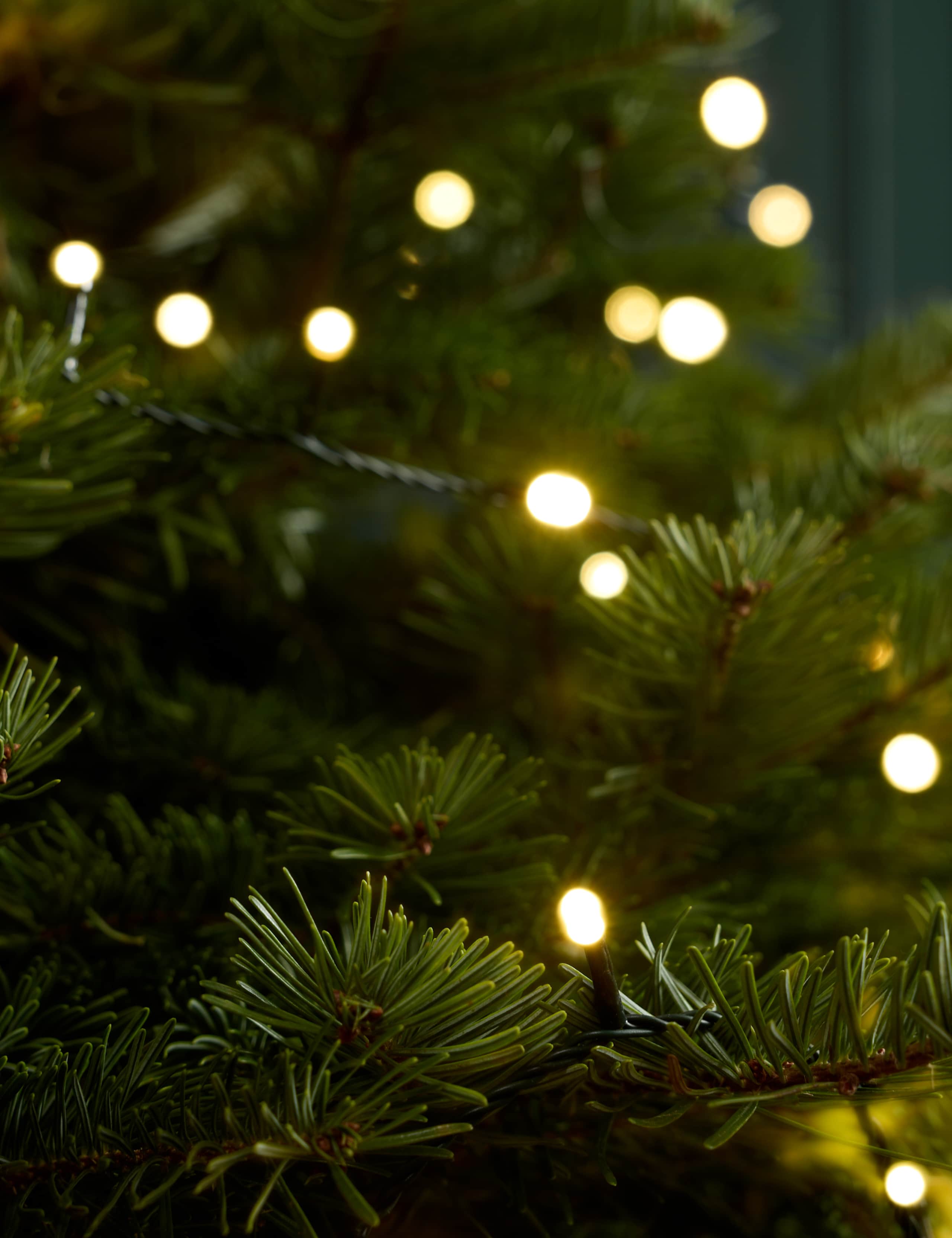 7ft Real Christmas Tree with Lights 3 of 5