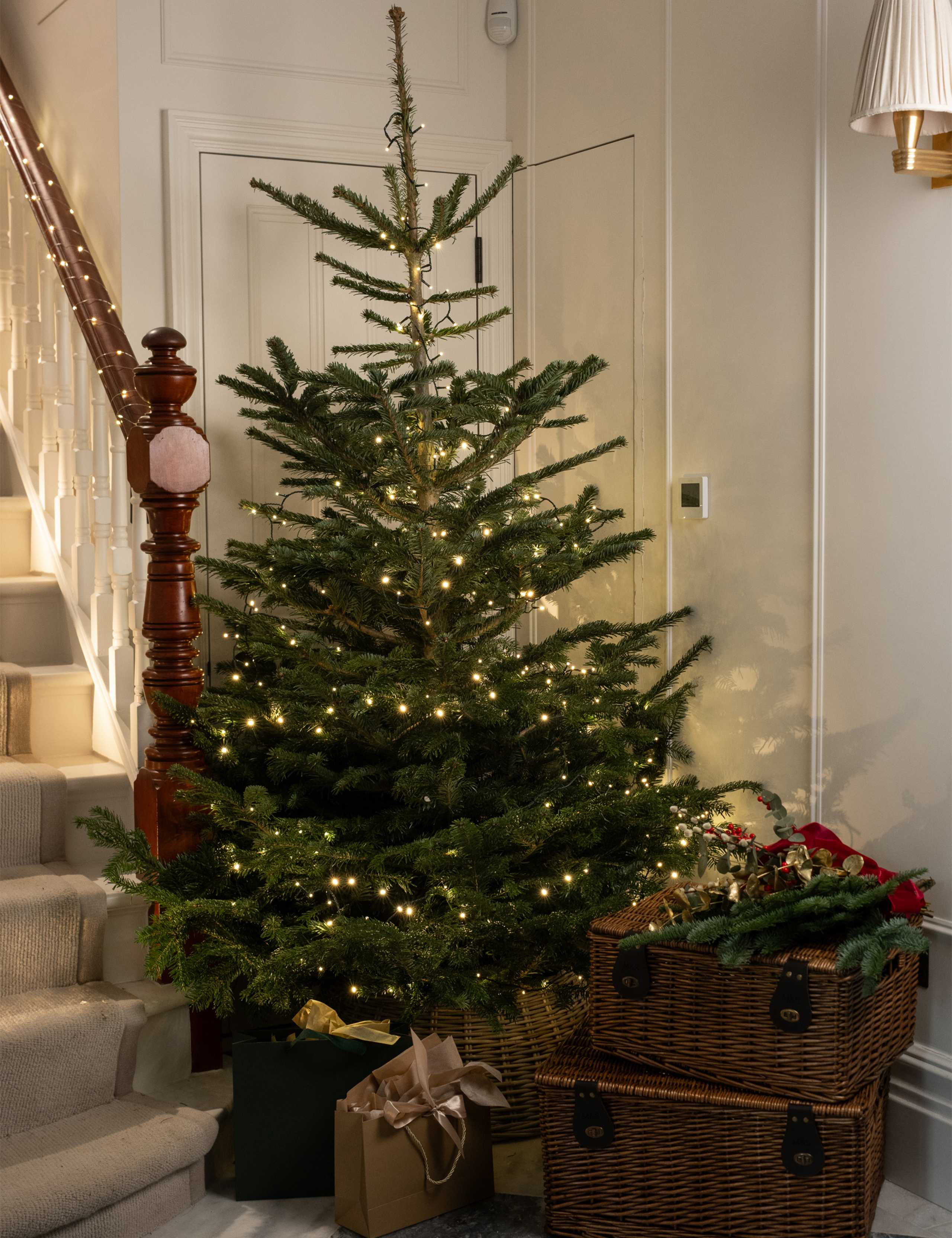 Full Size Christmas Tree with Lights 6 of 6