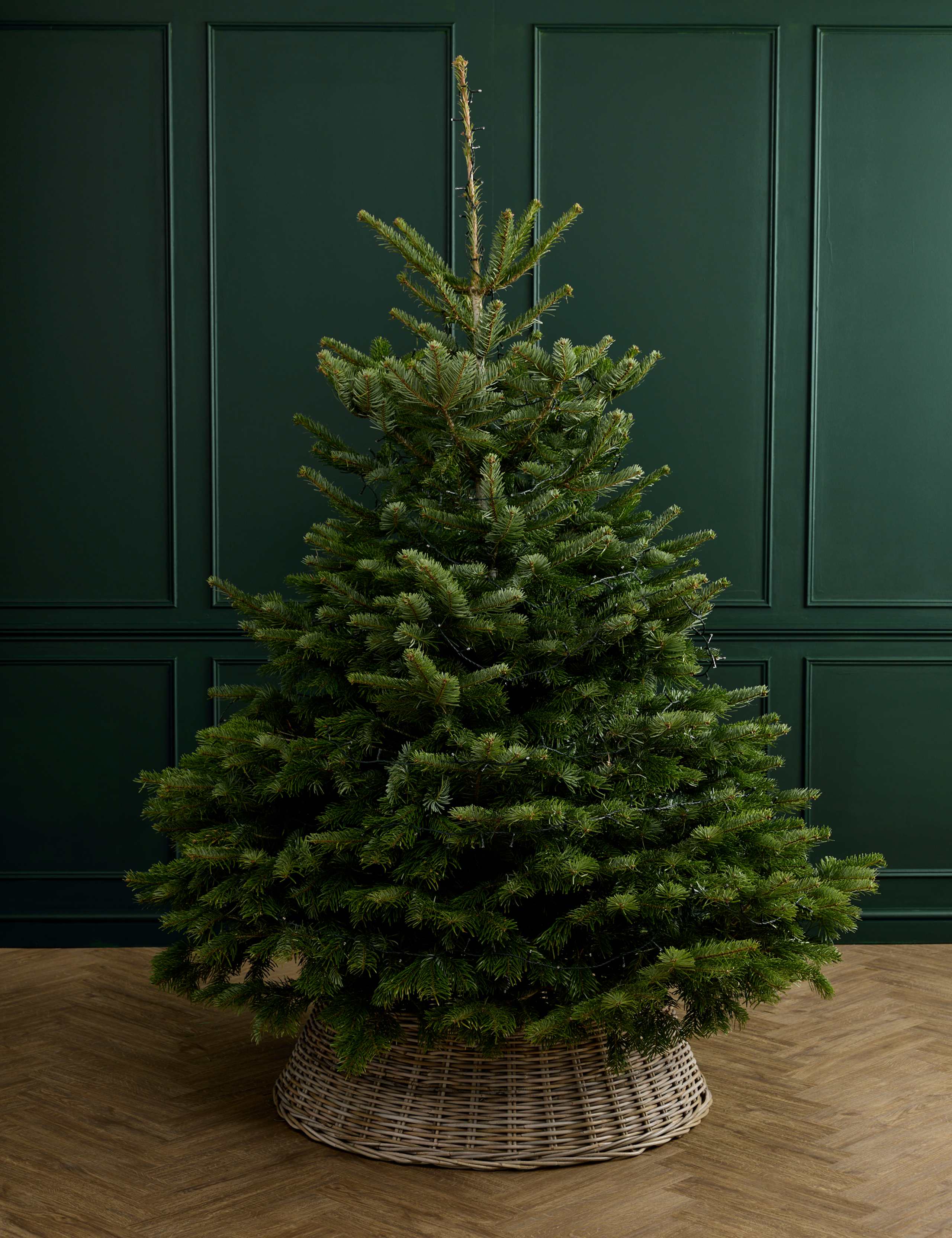 Full Size Christmas Tree with Lights 3 of 6