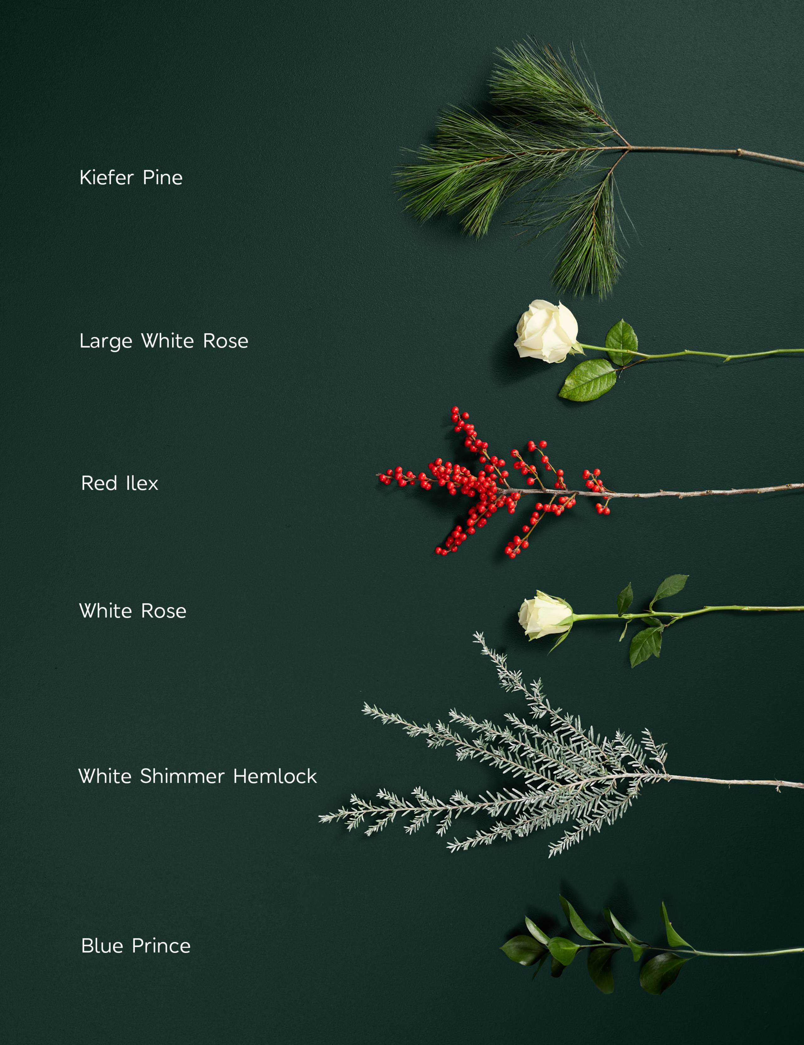 Avalanche Roses, Blue Prince & Ilex Bouquet 4 of 8