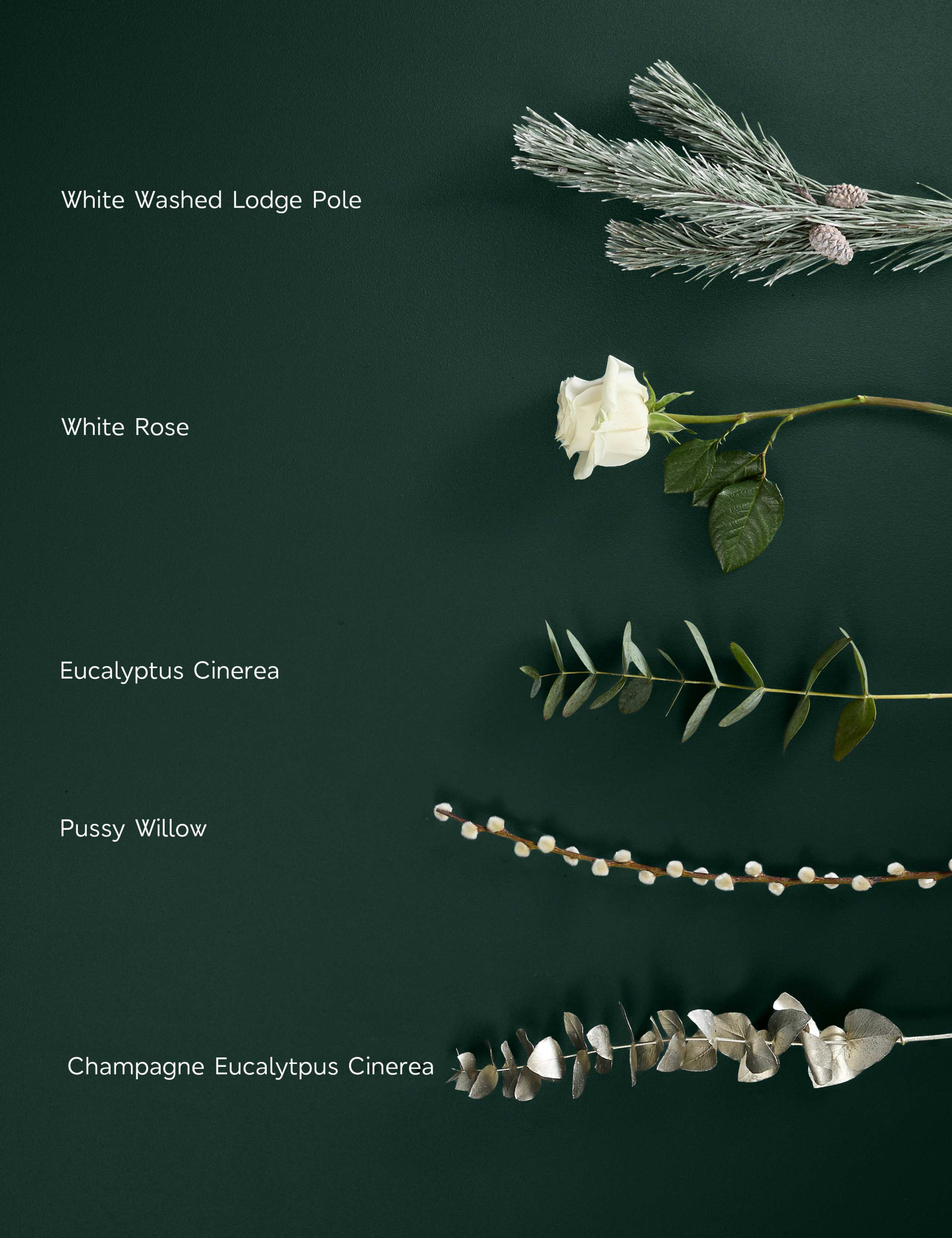 Luxury White Rose Christmas Bouquet with Vase 6 of 10