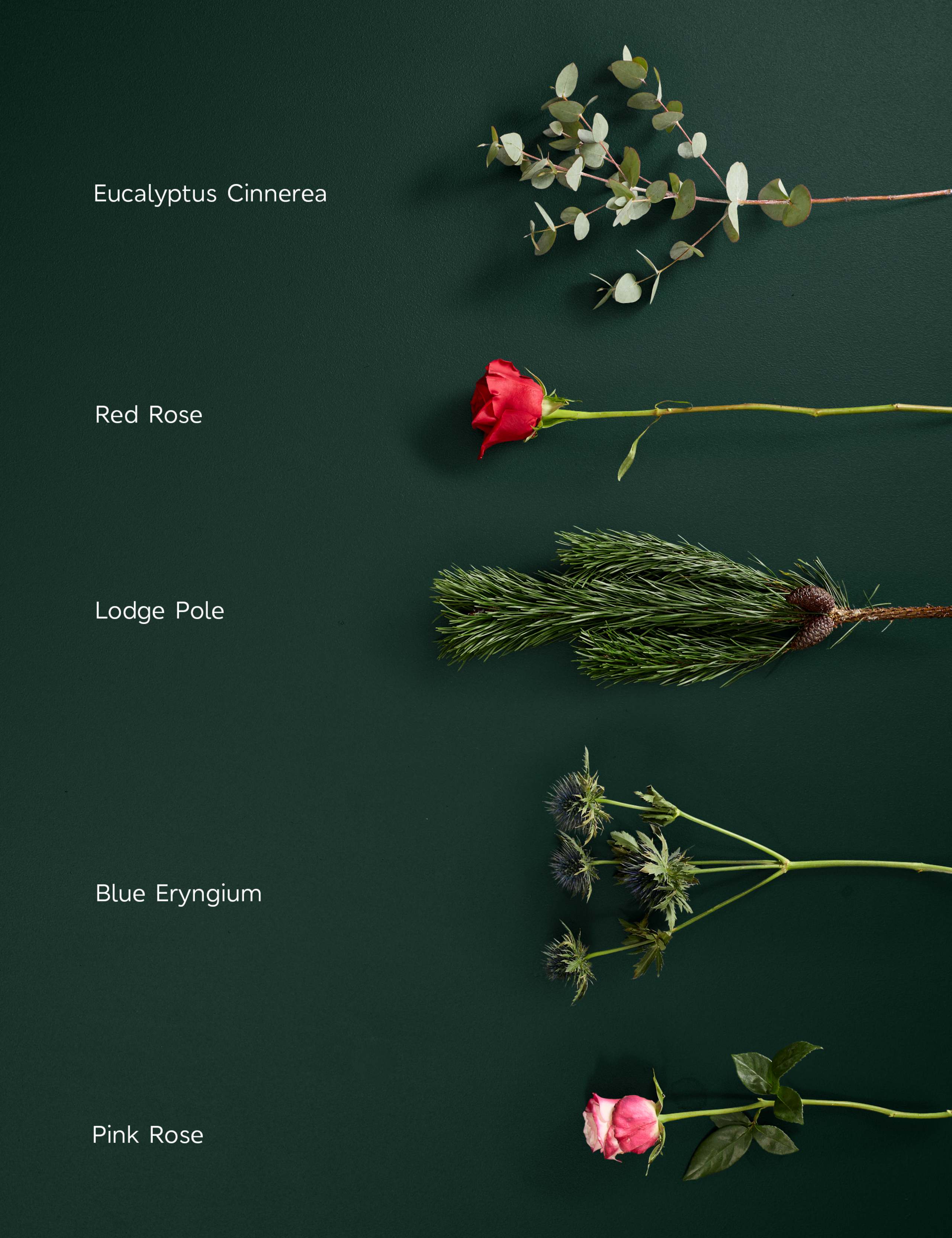 Sweet Rose & Eryngium Bouquet 4 of 5