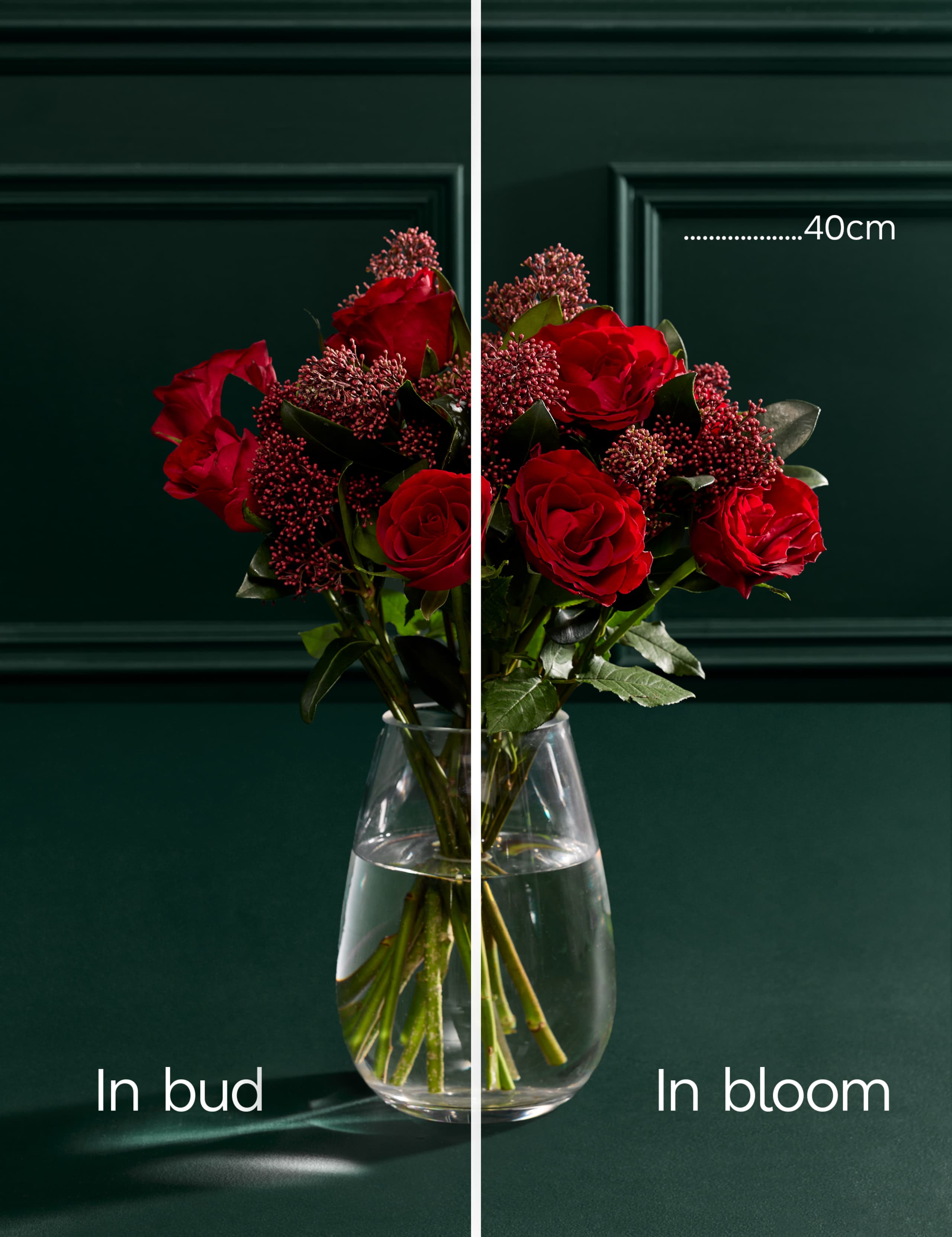 Rose & Skimmia Posy with Pistachio Gnomes 5 of 6